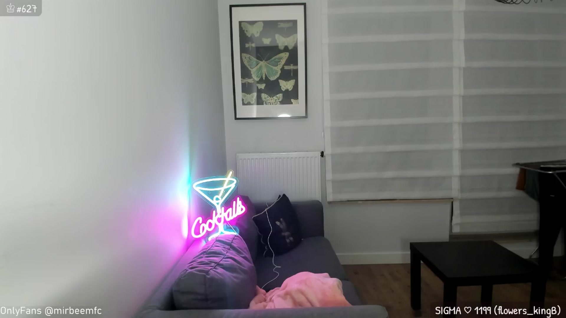 Gallery image thumbnail from MirBee's myfreecams stream on, 10/15/2024, 24:02 image 12 of 20