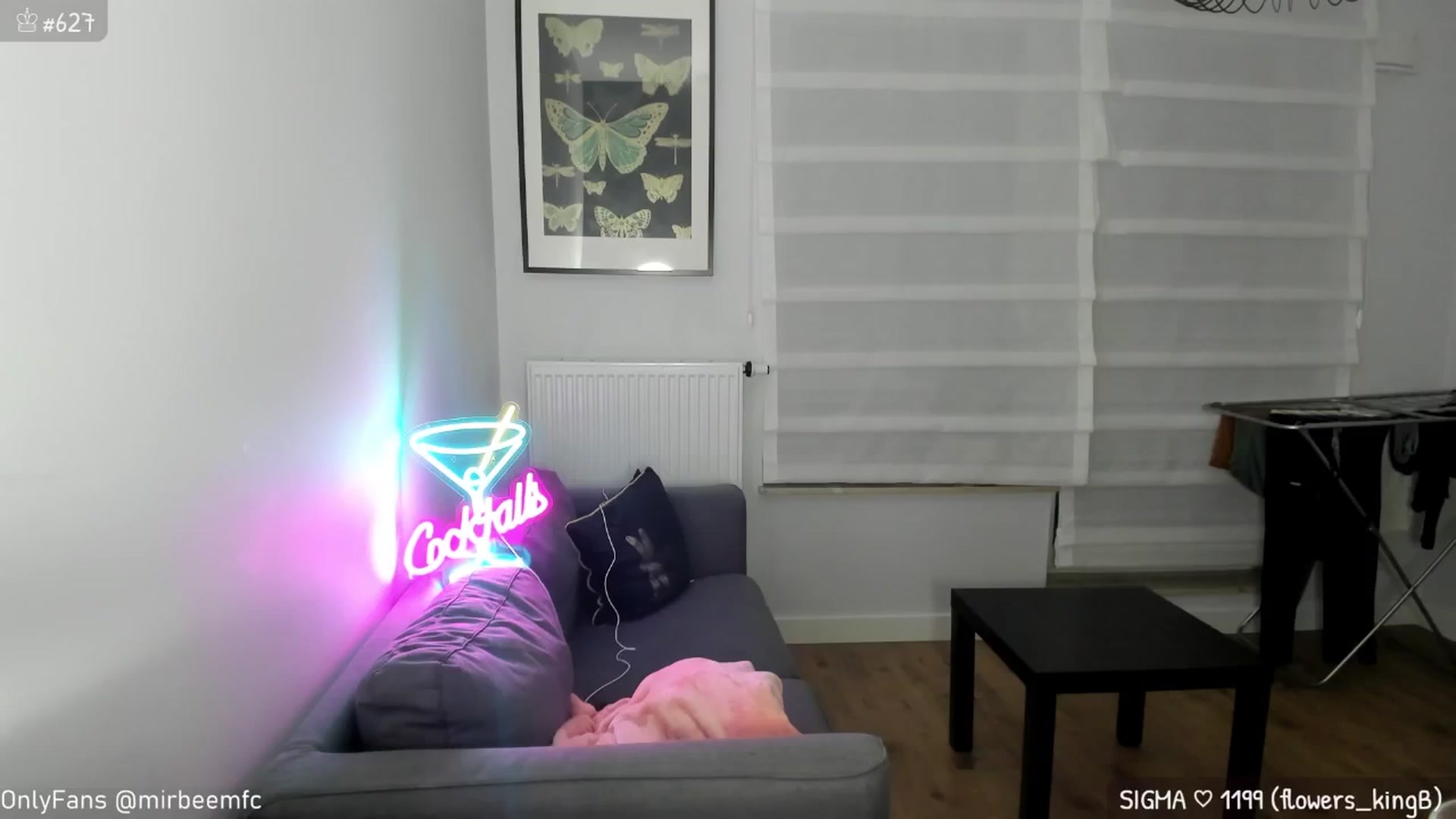Gallery image thumbnail from MirBee's myfreecams stream on, 10/15/2024, 24:02 image 11 of 20