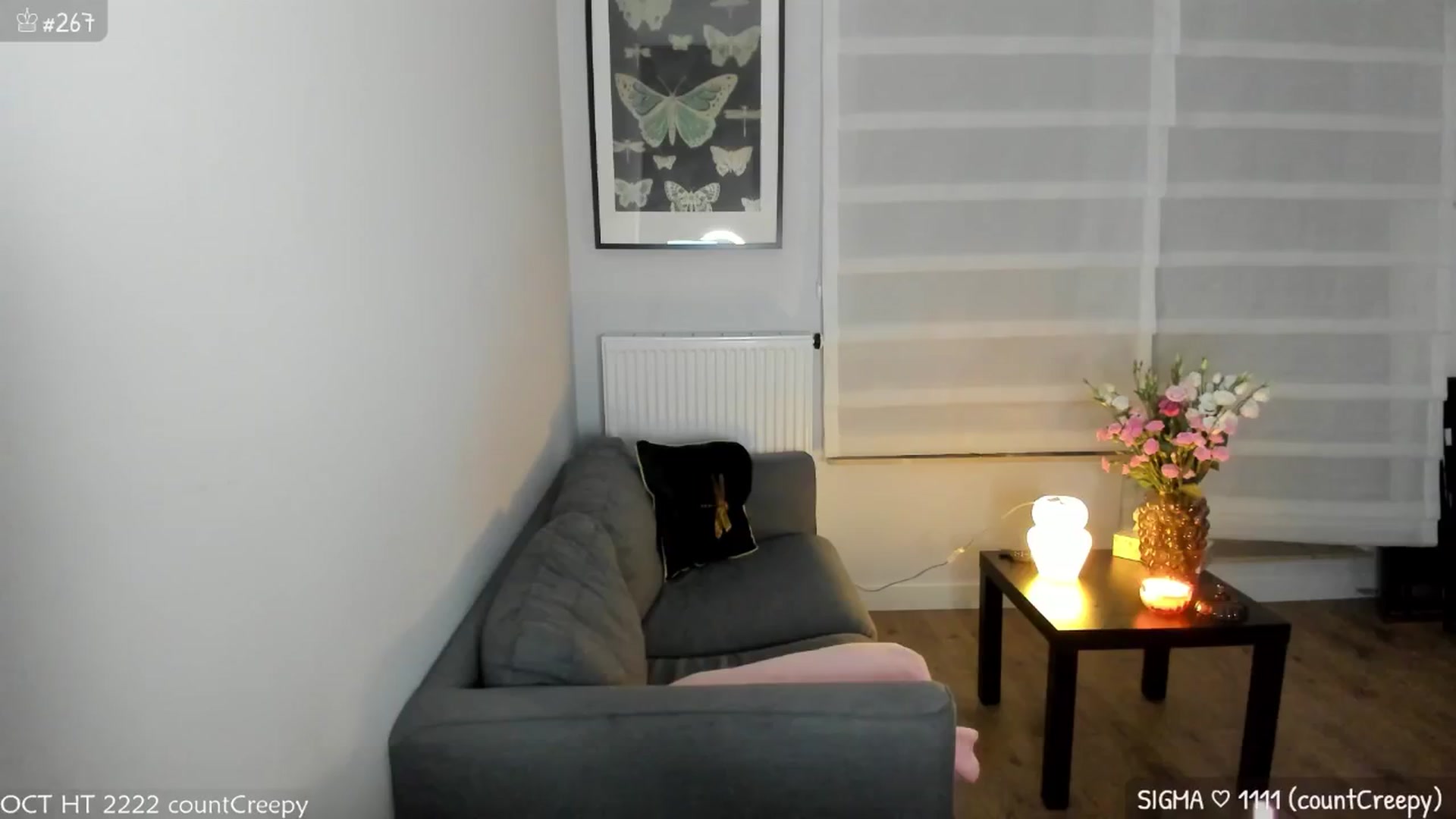 Gallery image thumbnail from MirBee's myfreecams stream on, 10/30/2024, 24:06 image 8 of 20