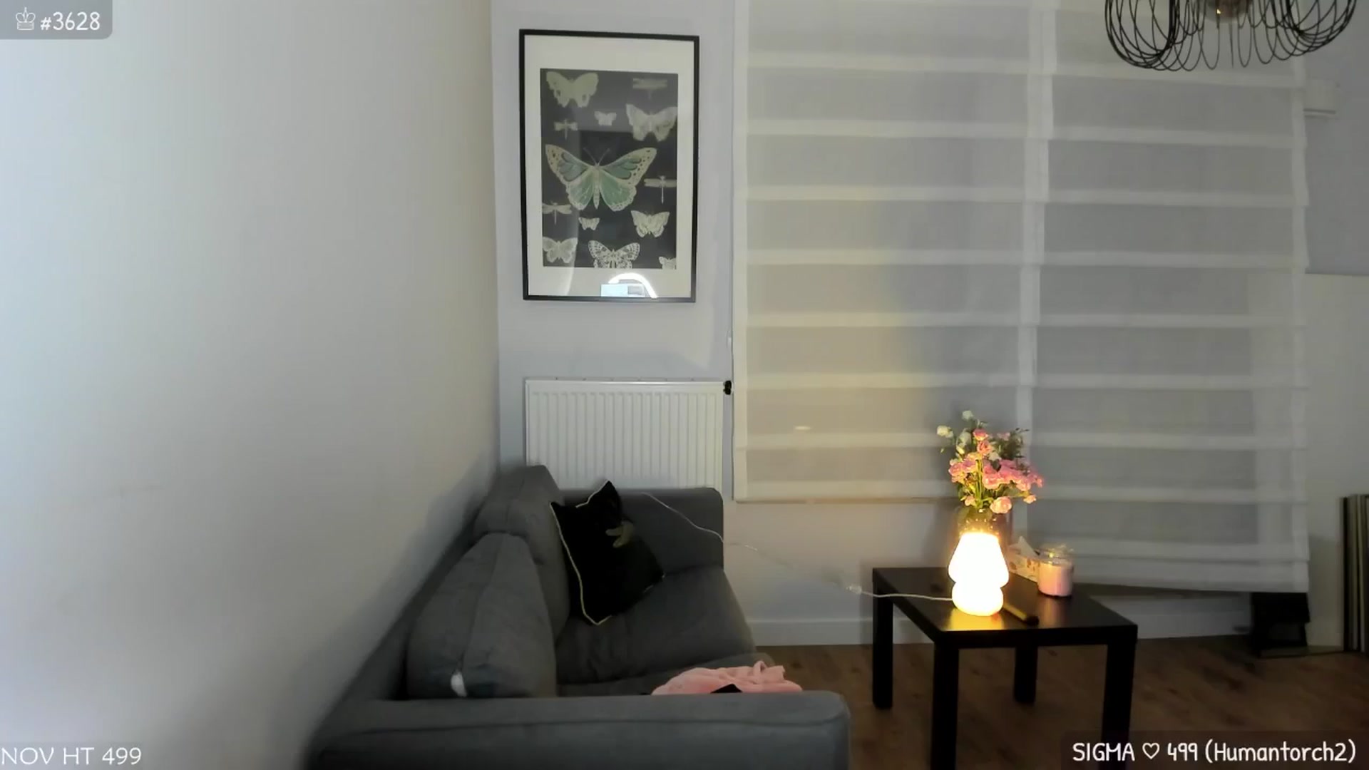 Gallery image thumbnail from MirBee's myfreecams stream on, 11/07/2024, 01:39 image 4 of 20
