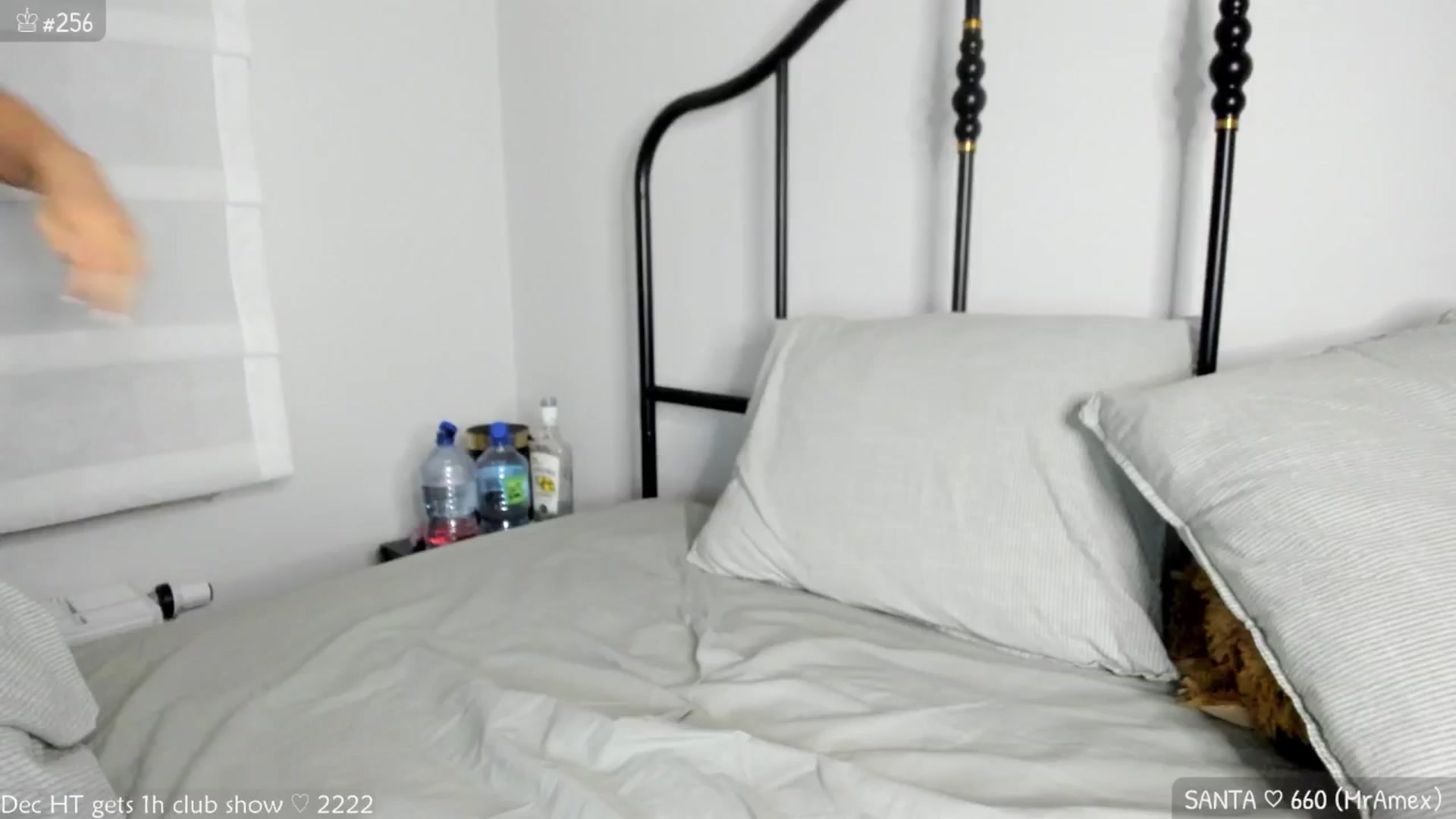 Gallery image thumbnail from MirBee's myfreecams stream on, 12/12/2024, 02:15 image 14 of 20