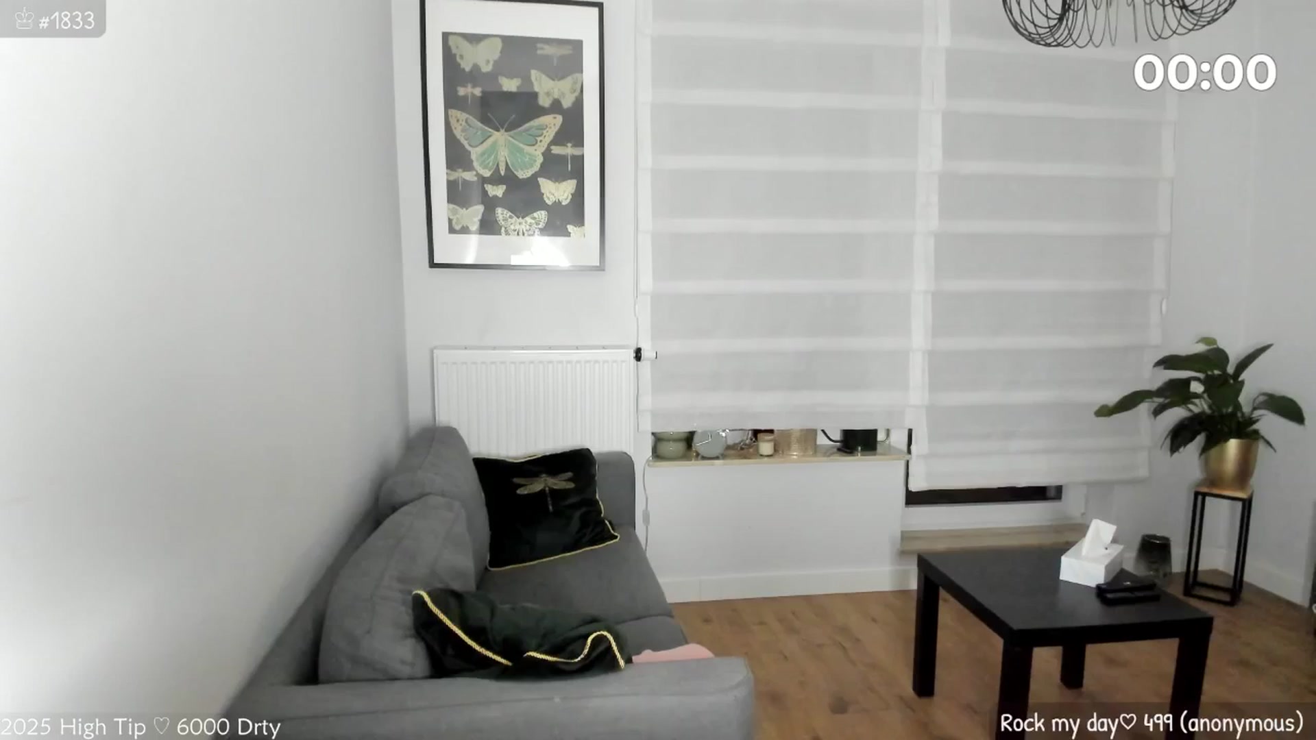 Gallery image thumbnail from MirBee's myfreecams stream on, 05/19/2025, 22:55 image 16 of 20