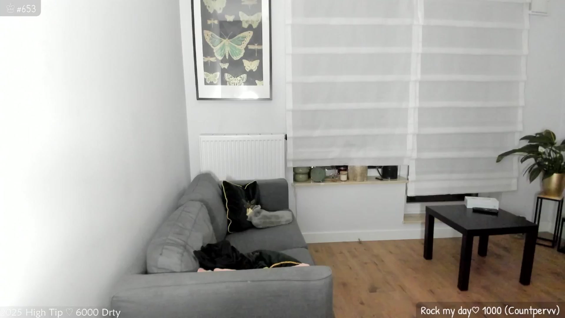 Gallery image thumbnail from MirBee's myfreecams stream on, 05/30/2025, 01:06 image 4 of 20