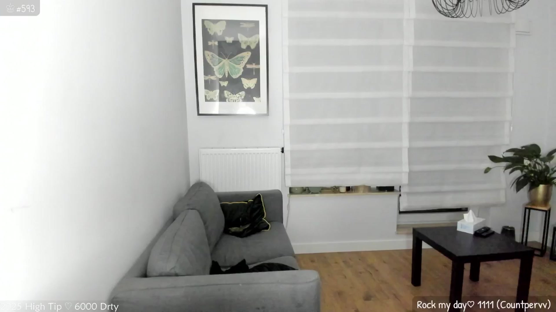 Gallery image thumbnail from MirBee's myfreecams stream on, 05/31/2025, 01:38 image 19 of 20
