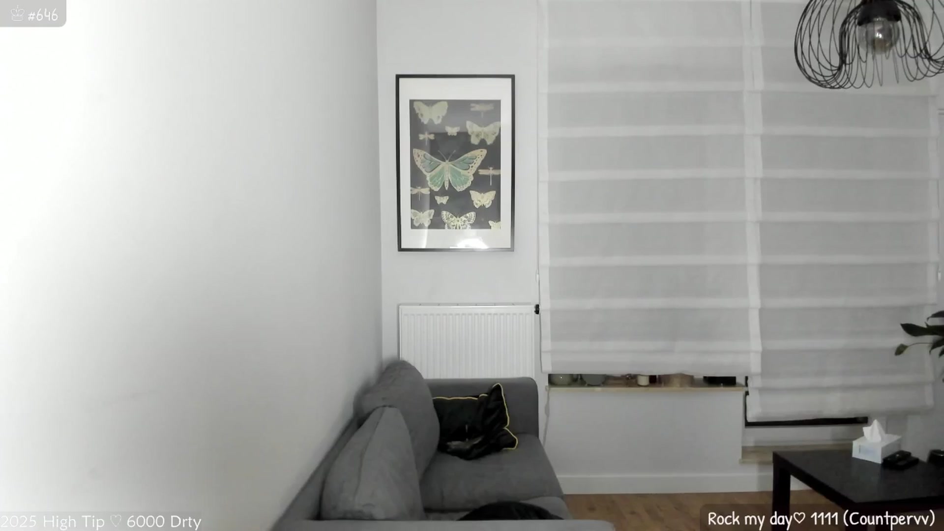 Gallery image thumbnail from MirBee's myfreecams stream on, 05/31/2025, 01:38 image 7 of 20