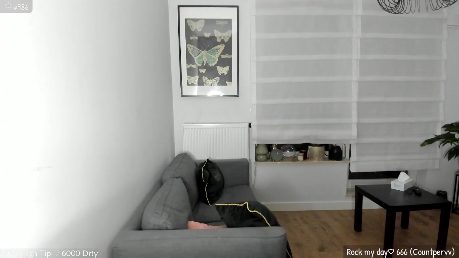 Gallery image thumbnail from MirBee's myfreecams stream on, 06/03/2025, 01:05 image 12 of 20