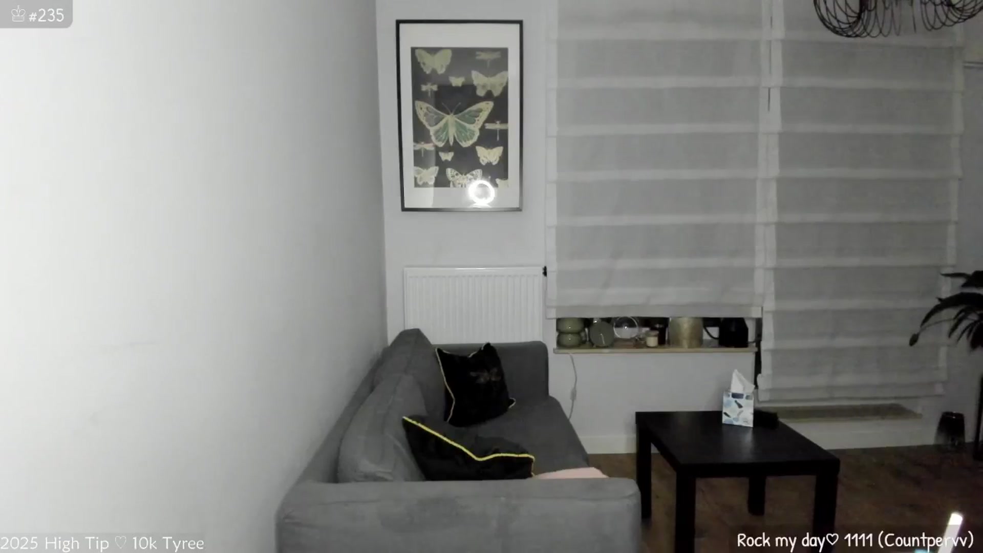 Gallery image thumbnail from MirBee's myfreecams stream on, 06/26/2025, 22:38 image 12 of 20