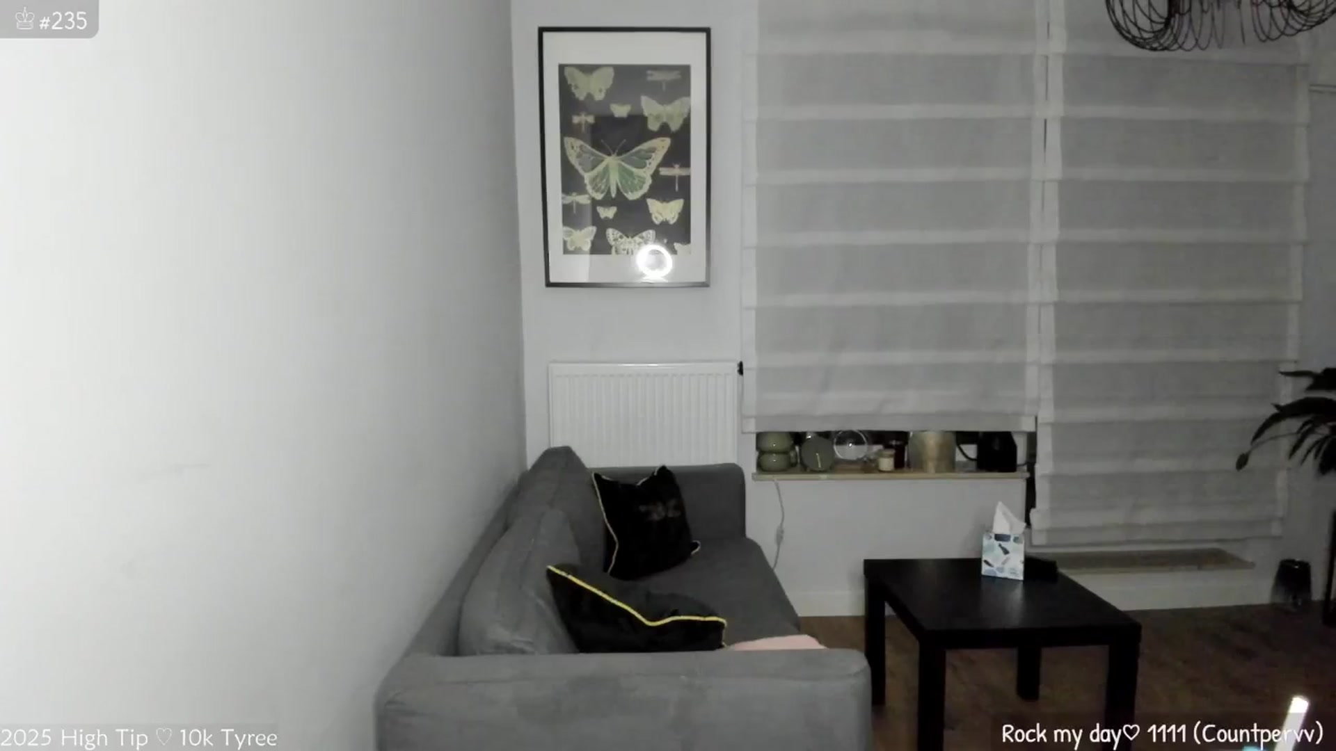 Gallery image thumbnail from MirBee's myfreecams stream on, 06/26/2025, 22:38 image 13 of 20