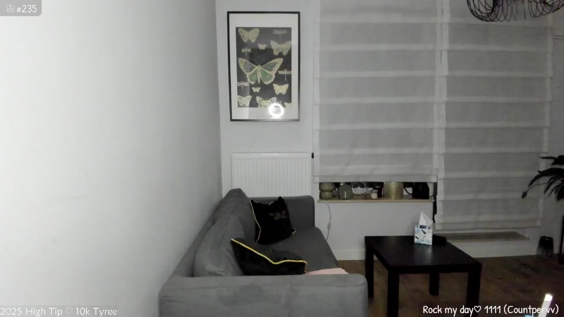 Gallery image thumbnail from MirBee's myfreecams stream on, 06/26/2025, 22:38 image 15 of 20