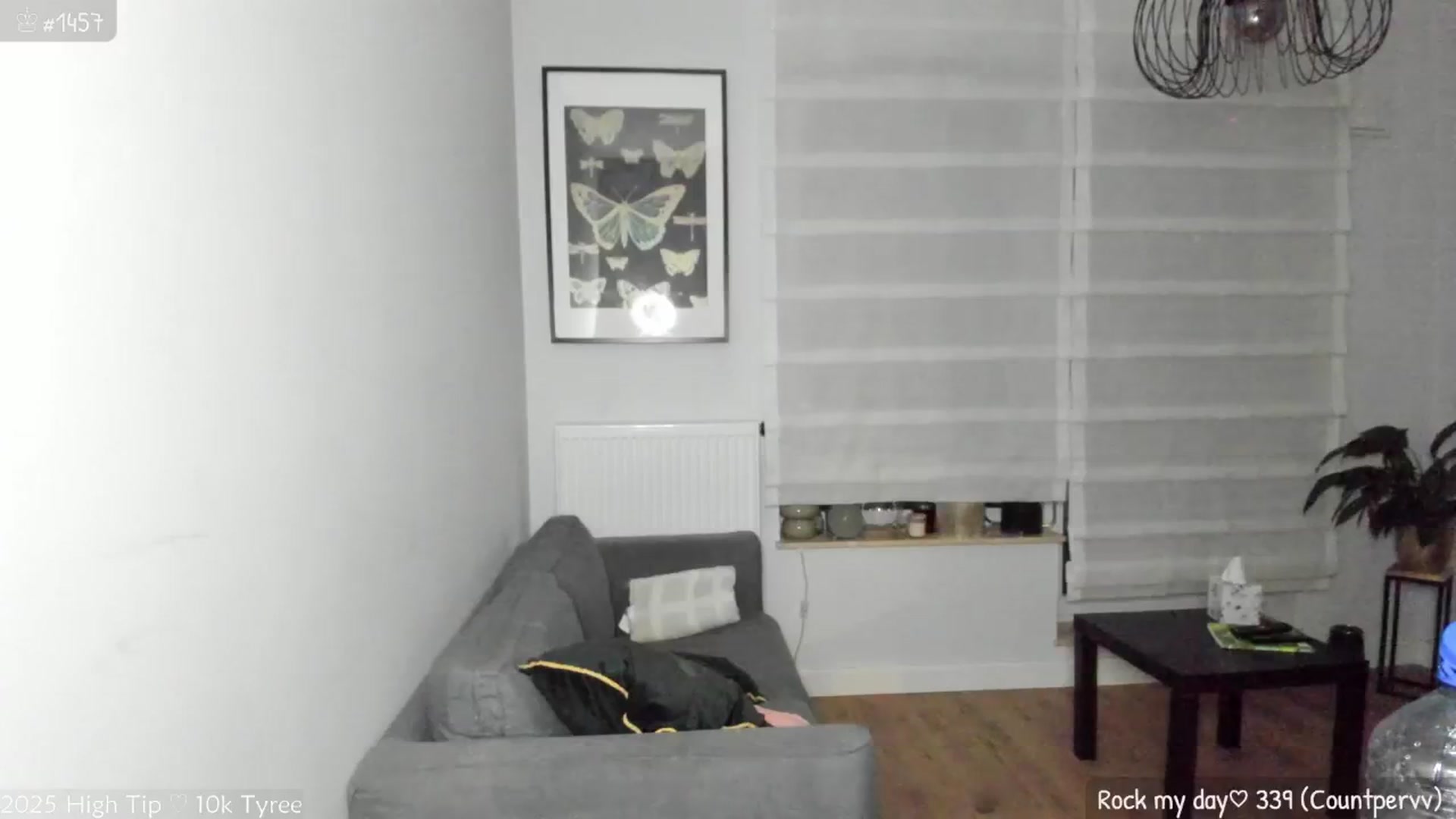 Gallery image thumbnail from MirBee's myfreecams stream on, 07/25/2025, 24:02 image 13 of 20