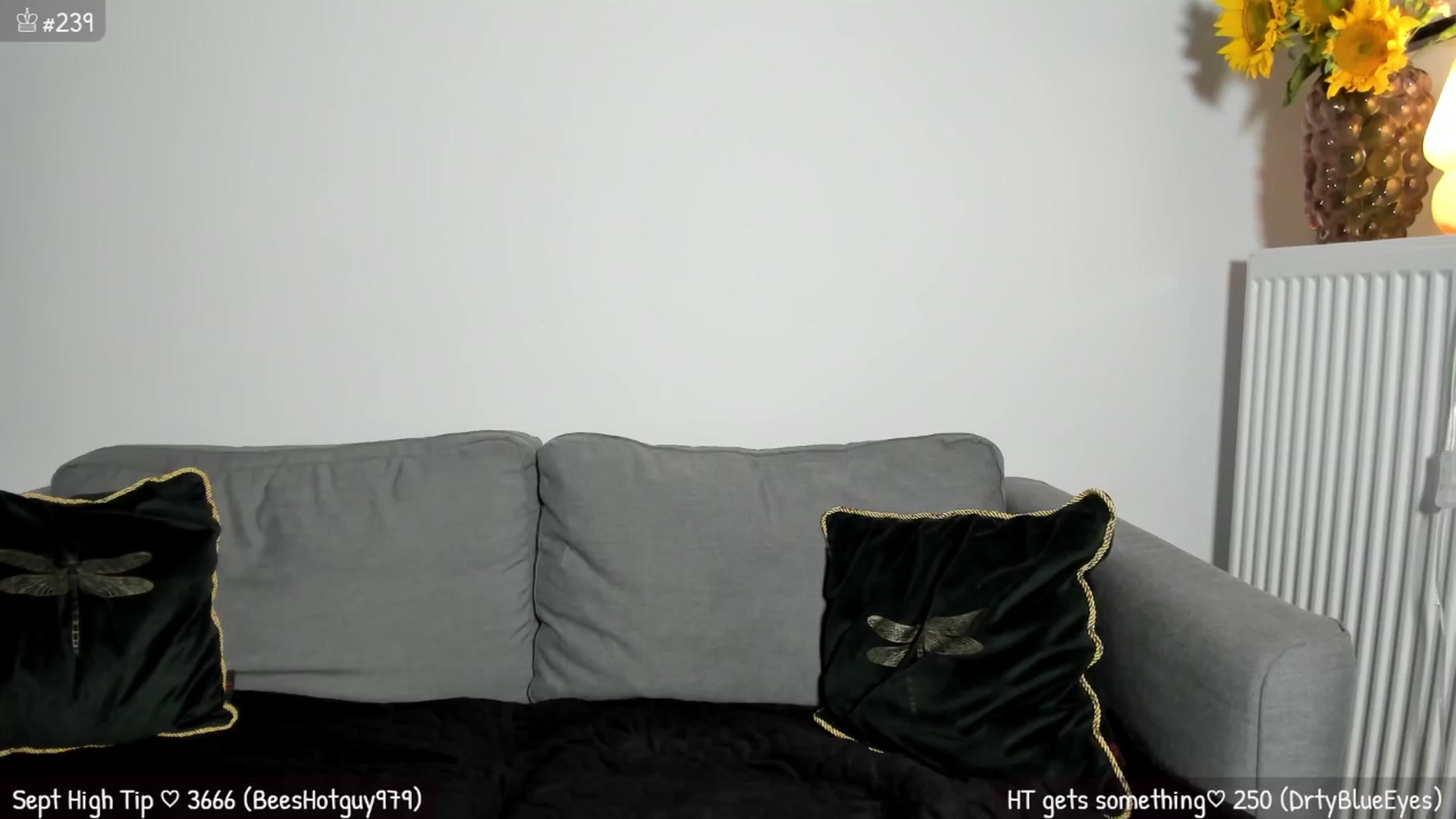 Gallery image thumbnail from MirBee's myfreecams stream on, 09/27/2025, 01:47 image 4 of 20