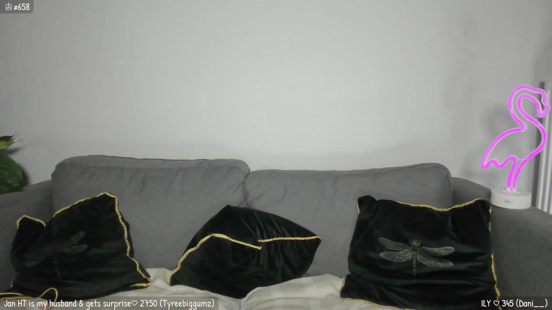 Gallery image thumbnail from MirBee's myfreecams stream on, 01/25/2026, 04:24 image 4 of 20