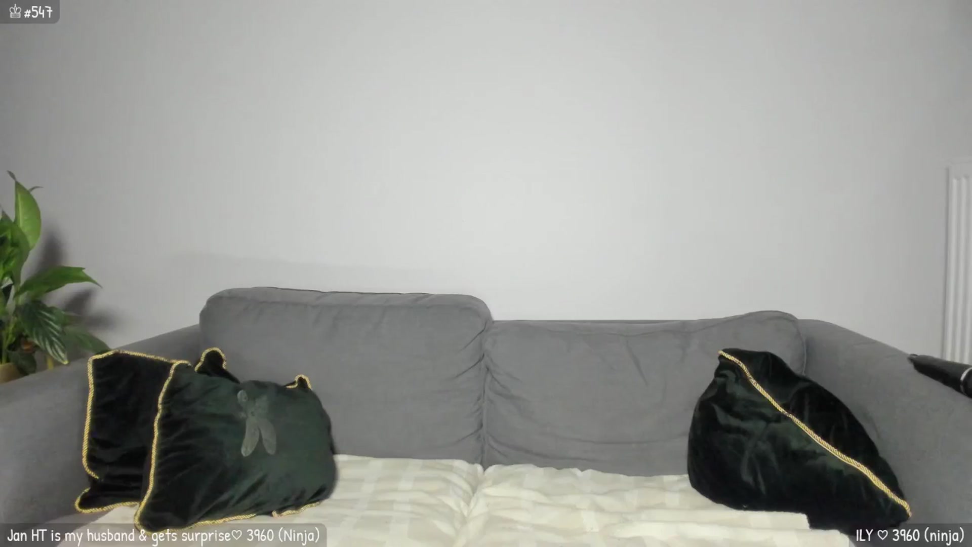 Gallery image thumbnail from MirBee's myfreecams stream on, 02/01/2026, 02:39 image 19 of 20