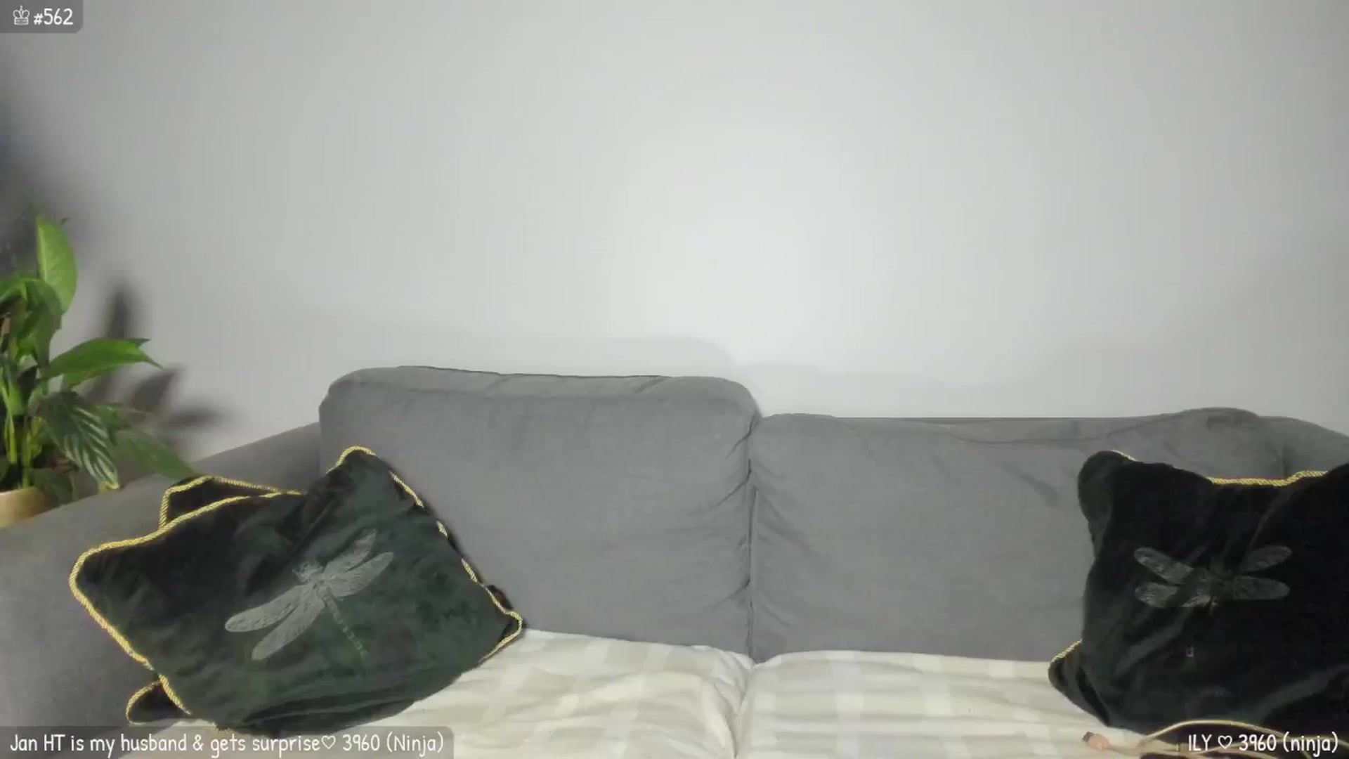 Gallery image thumbnail from MirBee's myfreecams stream on, 02/01/2026, 02:39 image 11 of 20