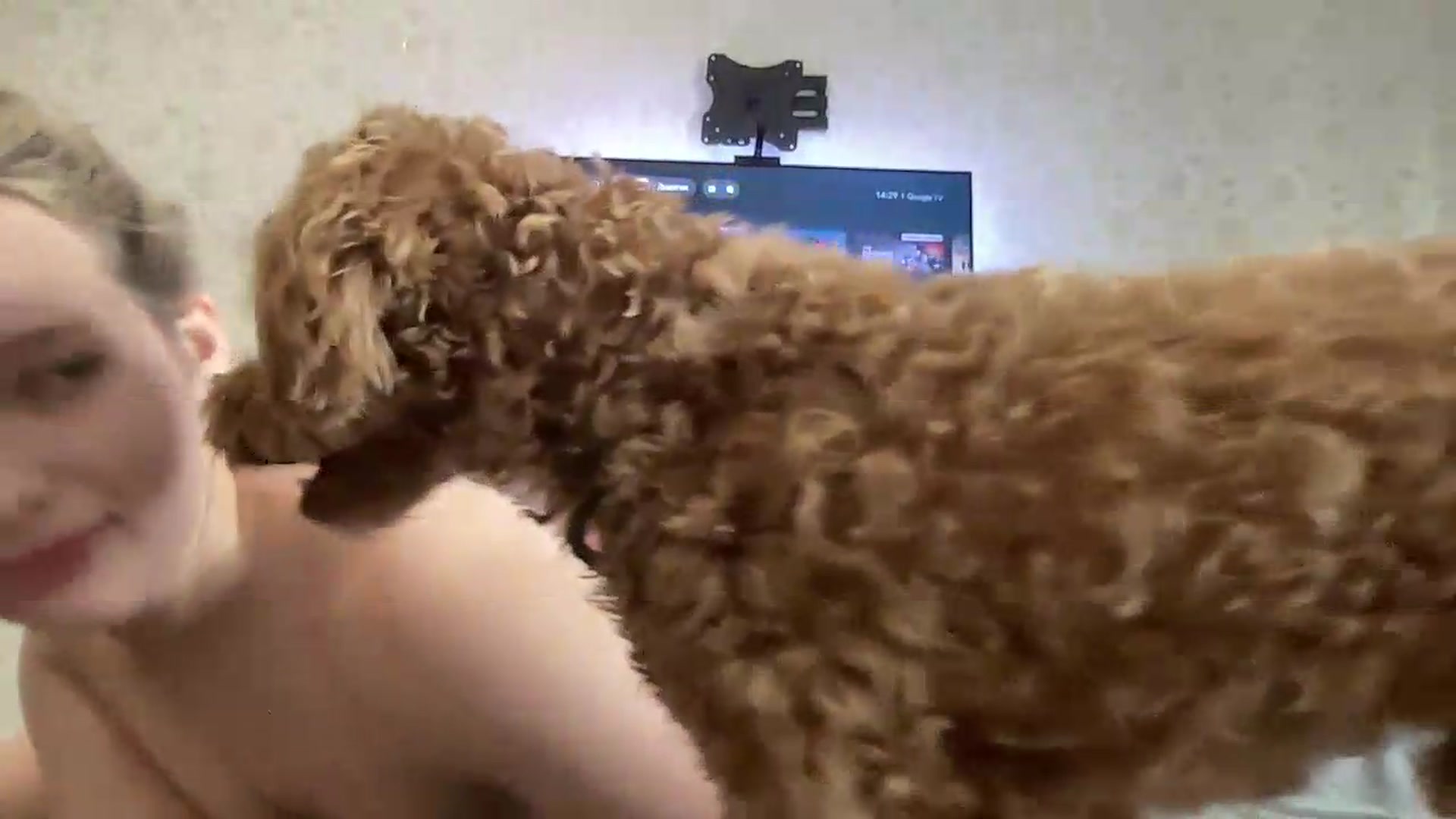 Gallery image thumbnail from Mira_Satin's myfreecams stream on, 08/23/2026, 11:41 image 11 of 20