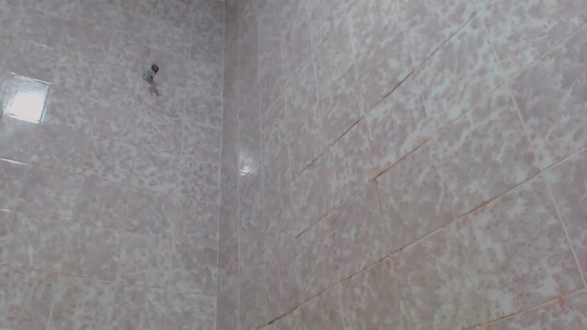 Gallery image thumbnail from MiracleMiss's myfreecams stream on, 05/14/2024, 12:08 image 20 of 20