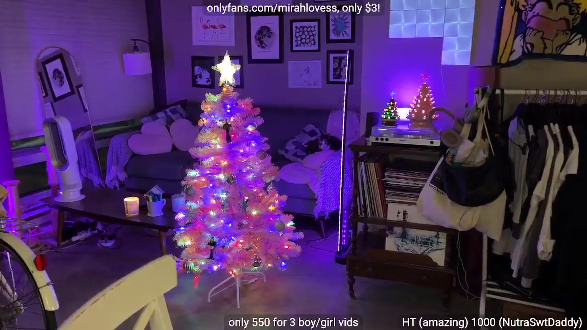 Gallery image thumbnail from Mirah's myfreecams stream on, 12/24/2025, 05:01 image 18 of 20