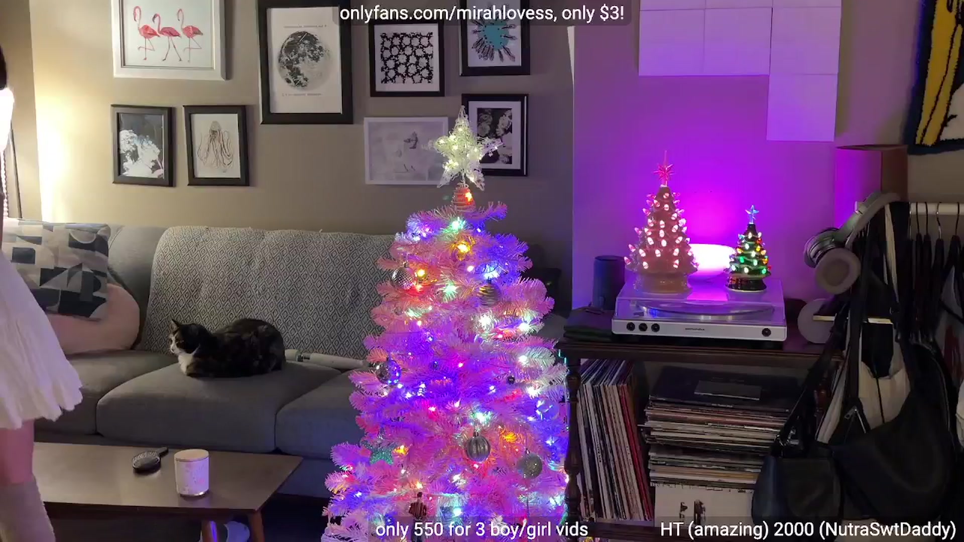 Gallery image thumbnail from Mirah's myfreecams stream on, 01/09/2026, 04:06 image 14 of 20