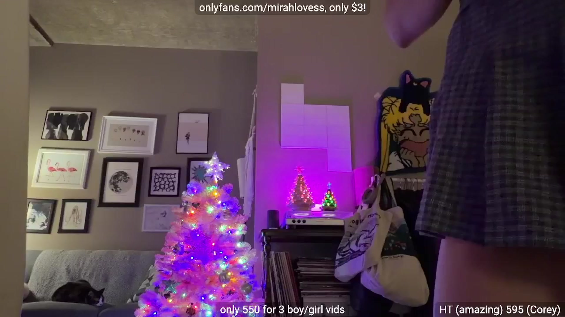Gallery image thumbnail from Mirah's myfreecams stream on, 01/12/2026, 03:32 image 19 of 20