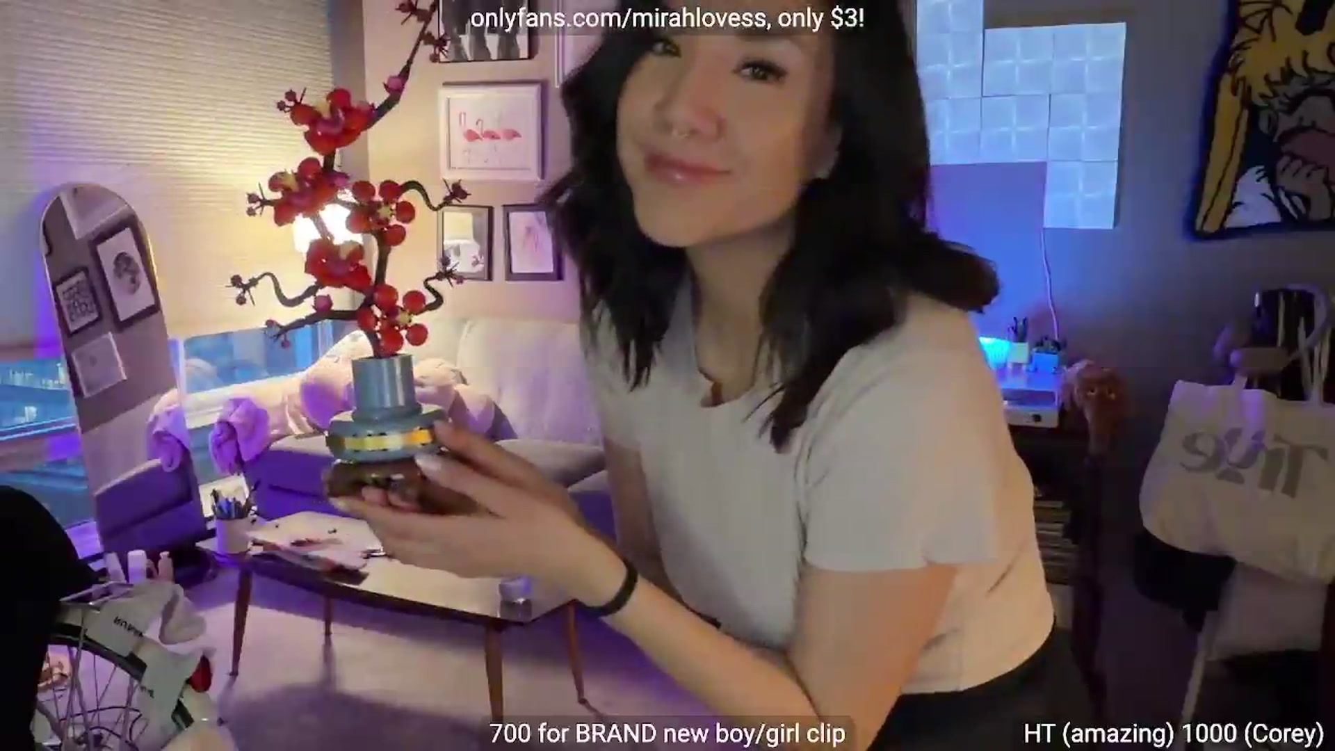 Gallery image thumbnail from Mirah's myfreecams stream on, 04/25/2026, 03:12 image 9 of 20
