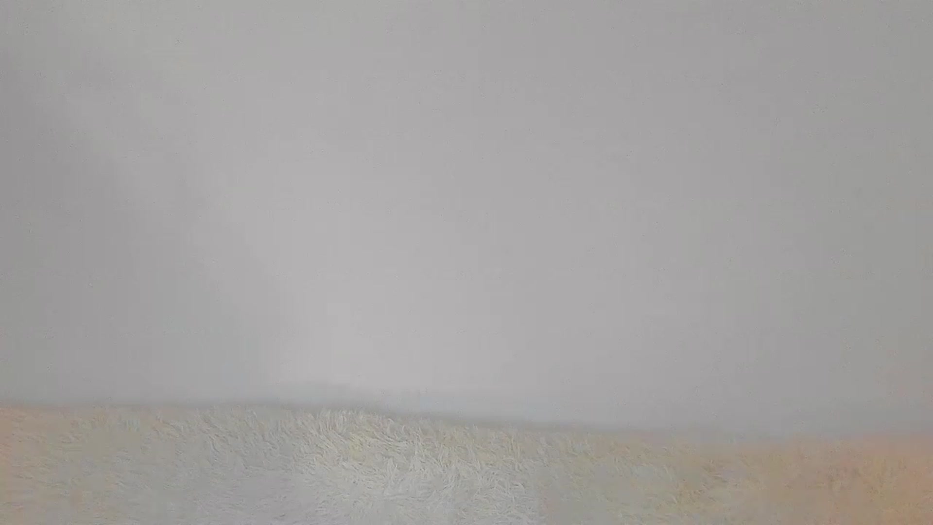 Gallery image thumbnail from MissAisha_'s myfreecams stream on, 02/12/2023, 11:14 image 8 of 20