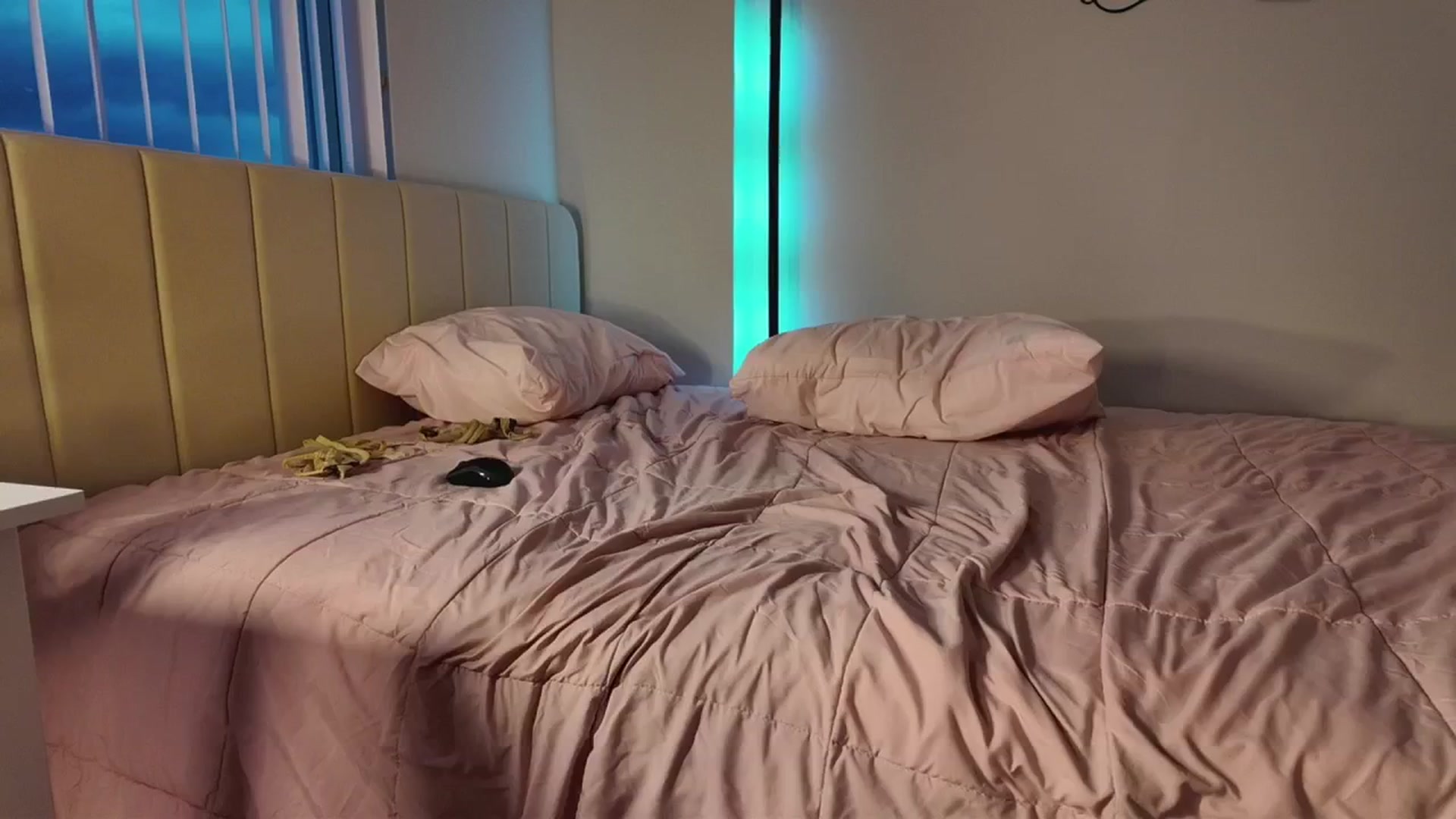 Gallery image thumbnail from MissAlexQuinn's myfreecams stream on, 08/29/2025, 23:38 image 15 of 20