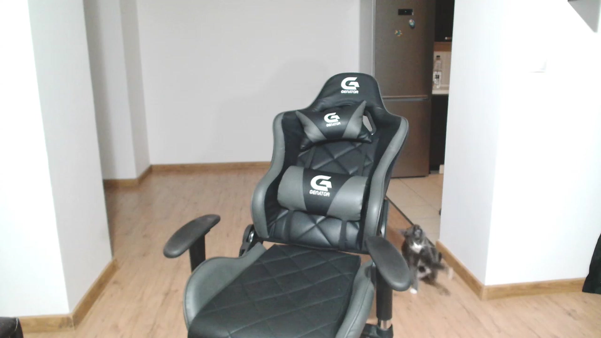 Gallery image thumbnail from MissAlice132's myfreecams stream on, 04/16/2023, 23:48 image 11 of 20