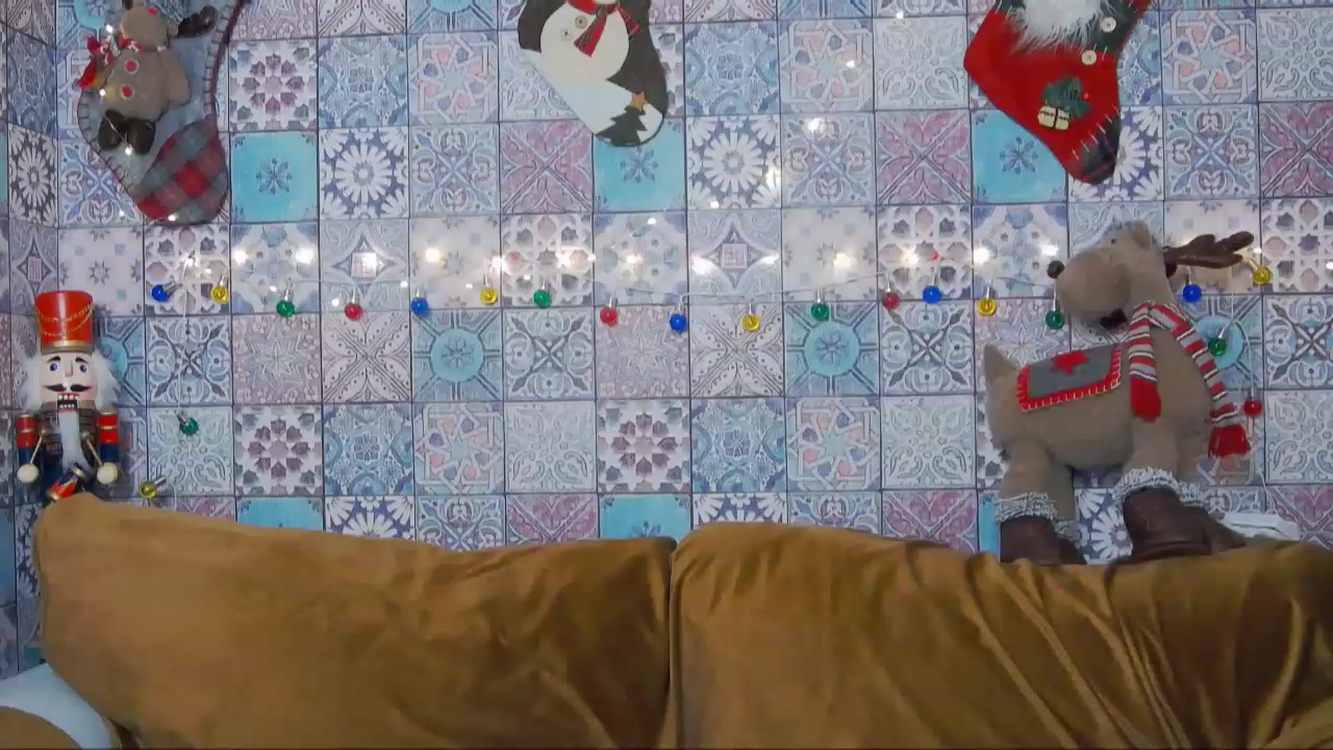 Gallery image thumbnail from MissAracely's myfreecams stream on, 01/01/2023, 21:25 image 13 of 20