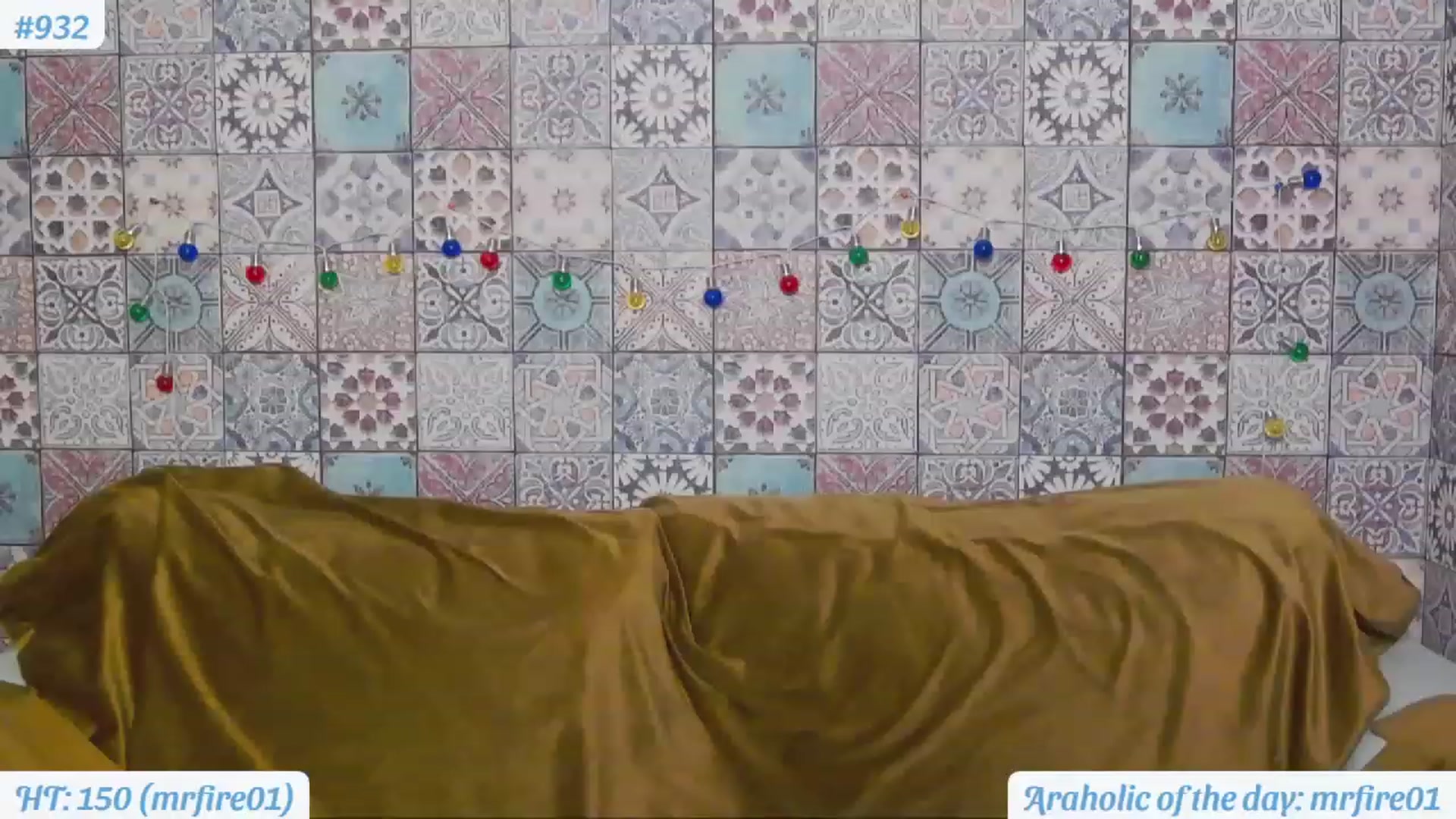 Gallery image thumbnail from MissAracely's myfreecams stream on, 03/22/2023, 20:00 image 16 of 20