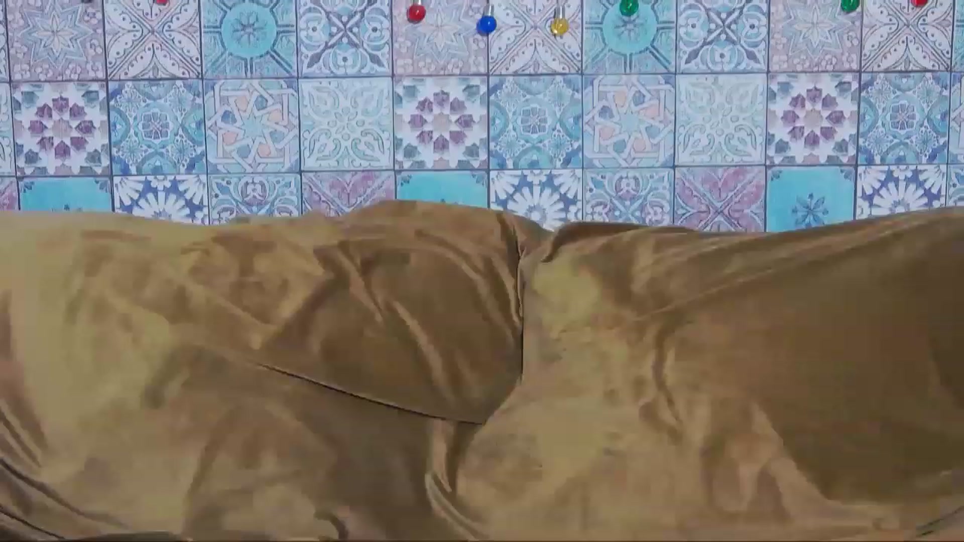 Gallery image thumbnail from MissAracely's myfreecams stream on, 03/24/2023, 20:07 image 9 of 20
