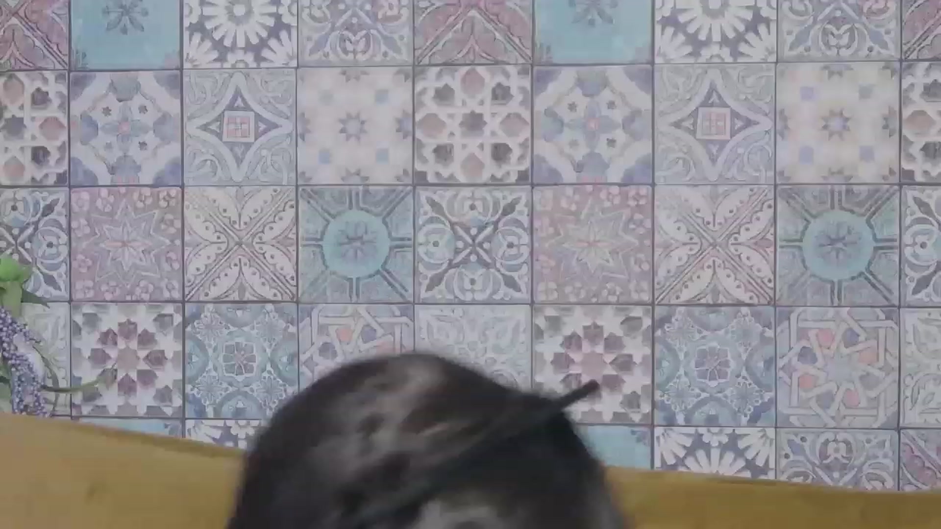 Gallery image thumbnail from MissAracely's myfreecams stream on, 04/27/2023, 15:02 image 16 of 20