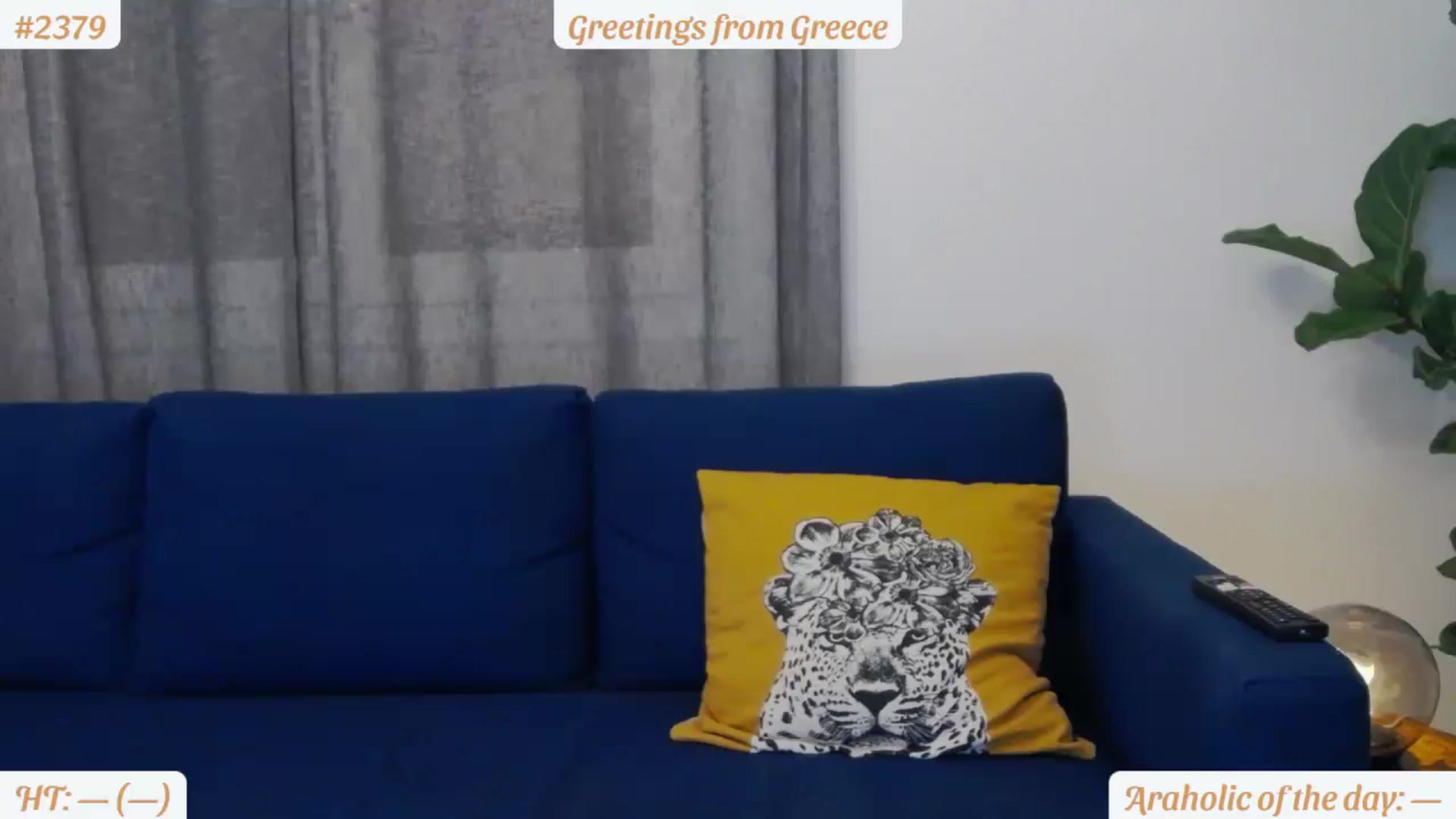 Gallery image thumbnail from MissAracely's myfreecams stream on, 07/01/2023, 20:57 image 1 of 20