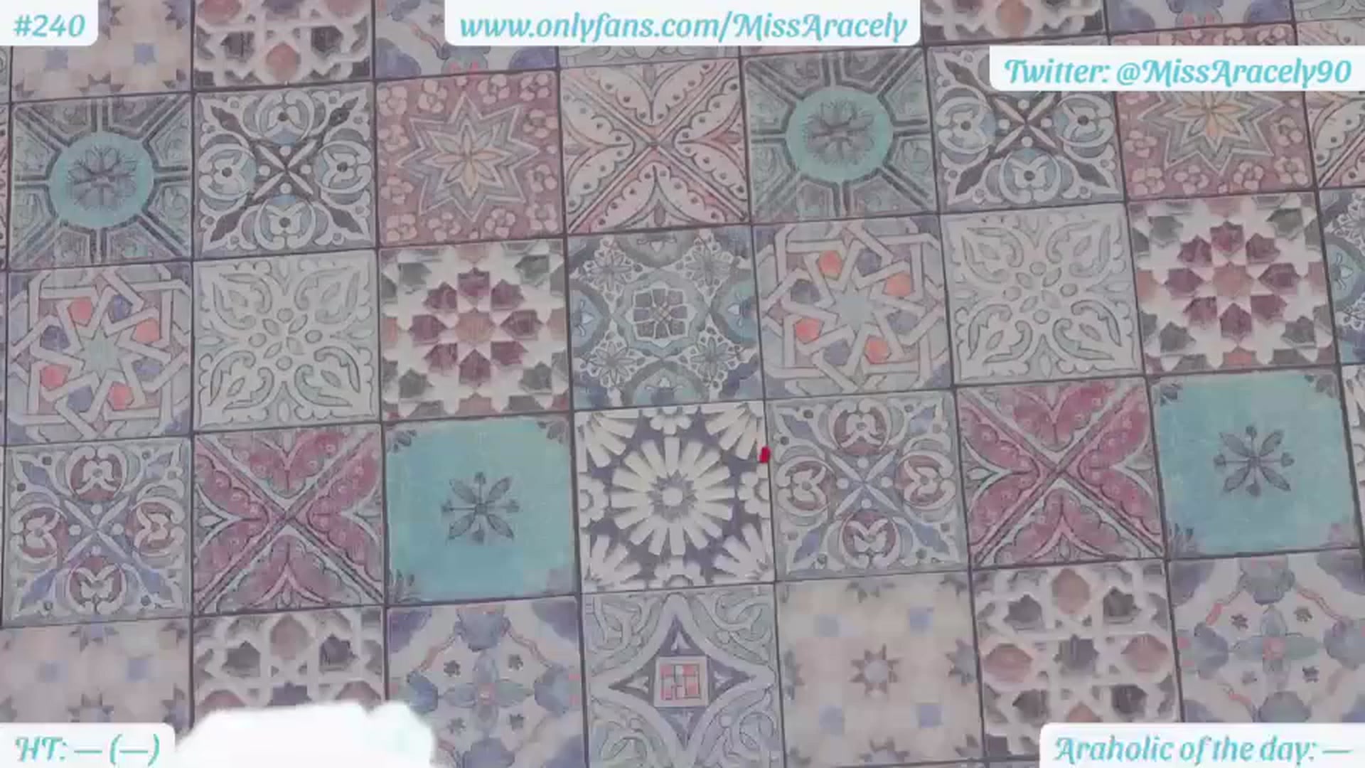 Gallery image thumbnail from MissAracely's myfreecams stream on, 07/12/2023, 16:42 image 13 of 20
