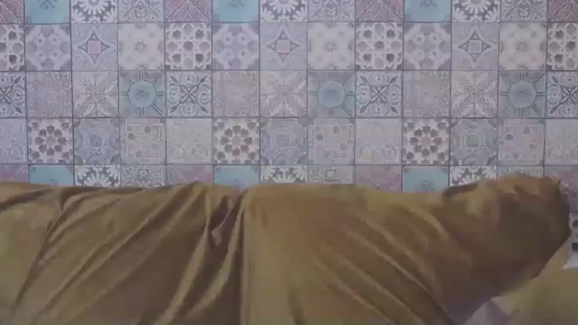 Gallery image thumbnail from MissAracely's myfreecams stream on, 08/13/2023, 16:09 image 19 of 20
