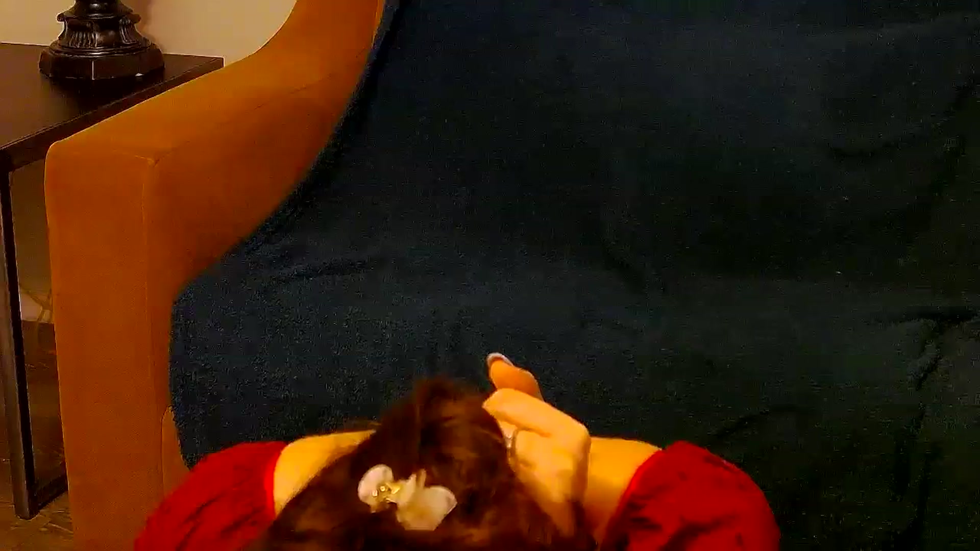 Gallery image thumbnail from MissAracely's myfreecams stream on, 02/07/2024, 02:26 image 18 of 20