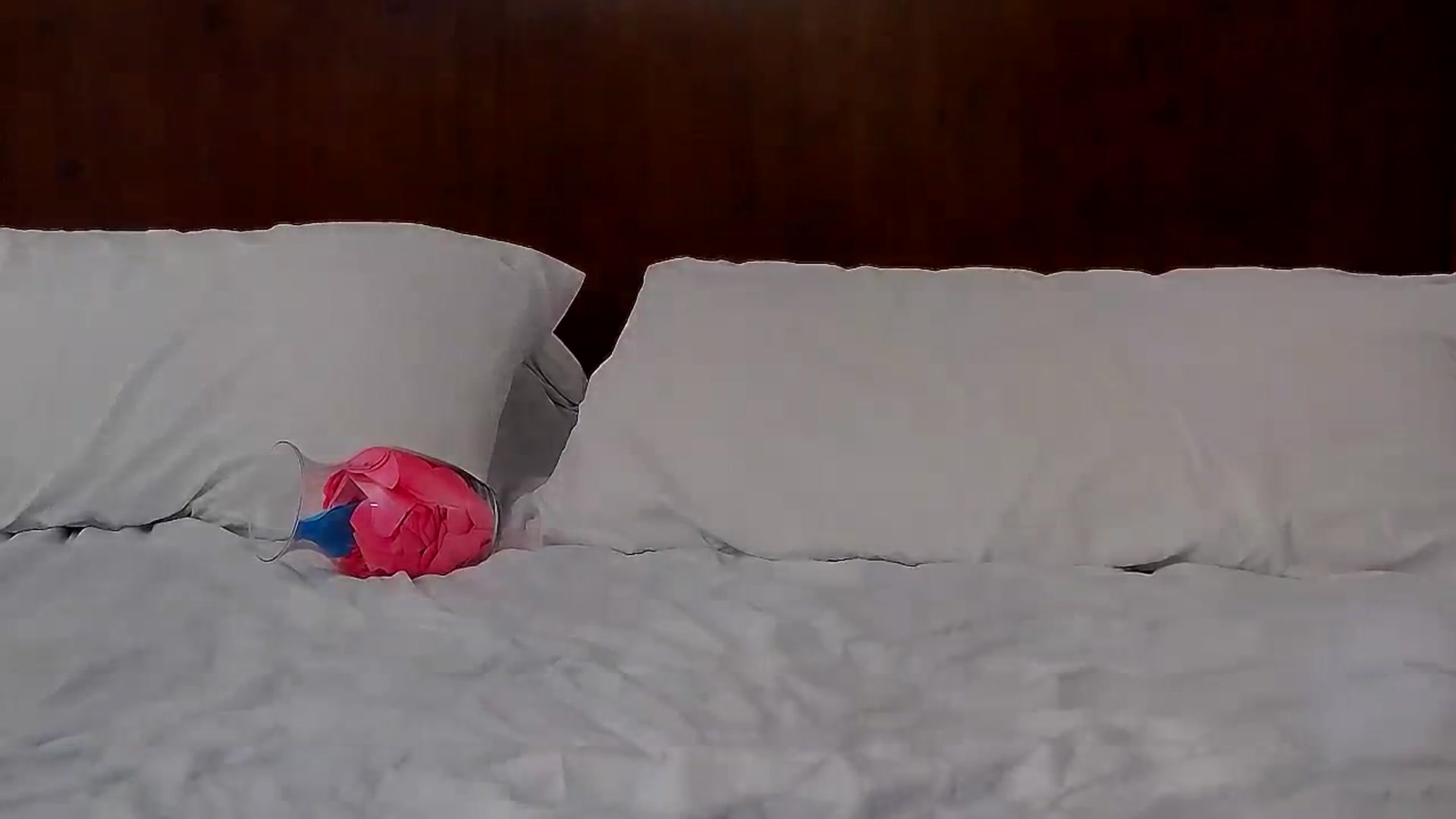 Gallery image thumbnail from MissAracely's myfreecams stream on, 02/14/2024, 01:25 image 16 of 20