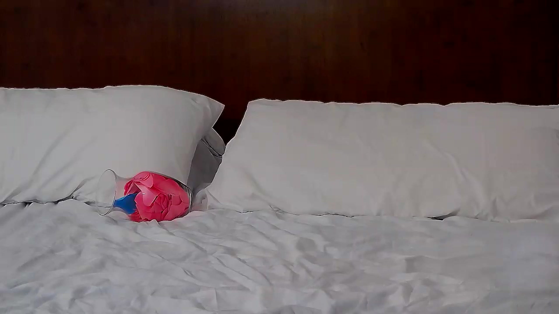 Gallery image thumbnail from MissAracely's myfreecams stream on, 02/14/2024, 01:25 image 14 of 20