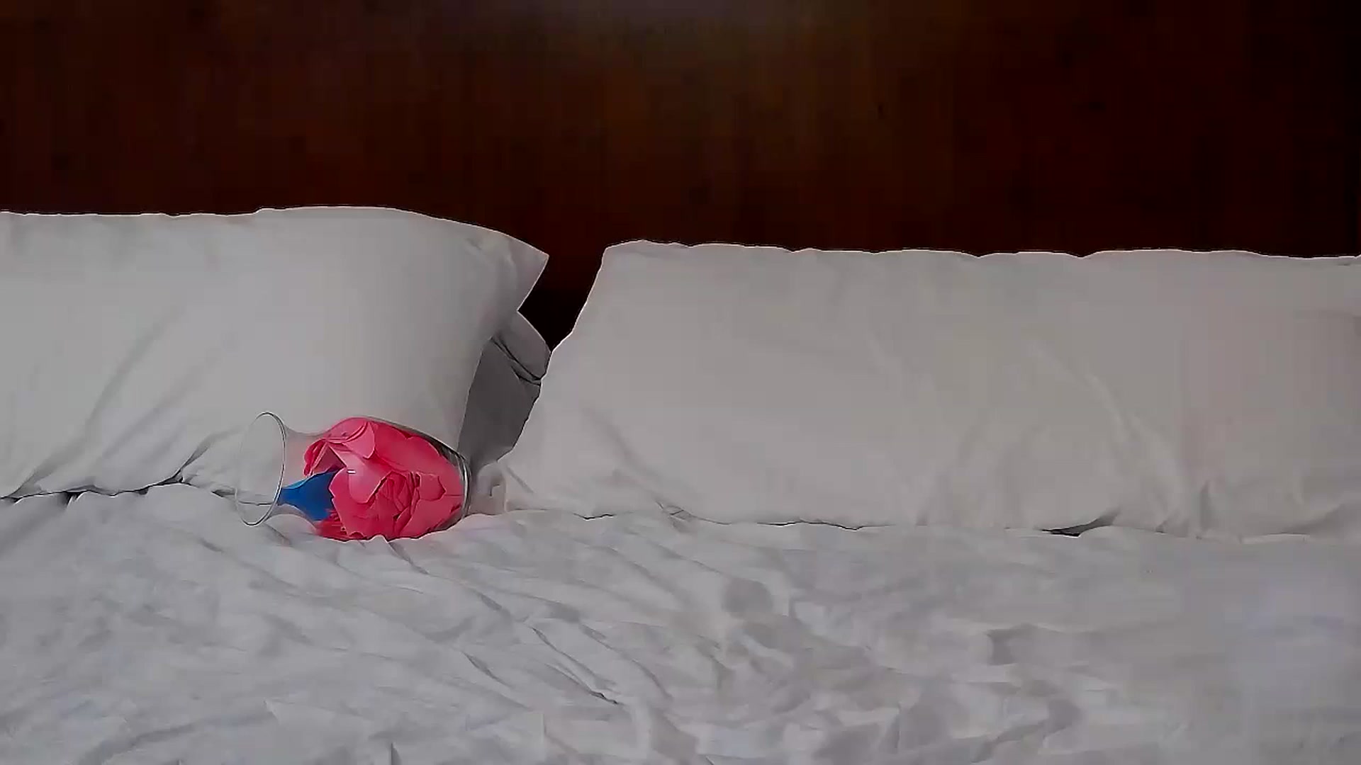 Gallery image thumbnail from MissAracely's myfreecams stream on, 02/14/2024, 01:25 image 6 of 20