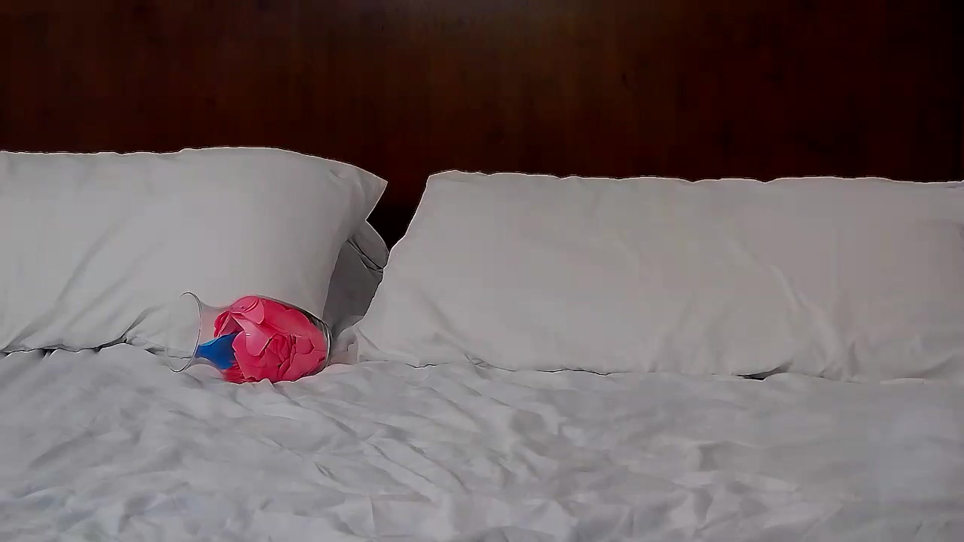 Gallery image thumbnail from MissAracely's myfreecams stream on, 02/14/2024, 01:25 image 13 of 20
