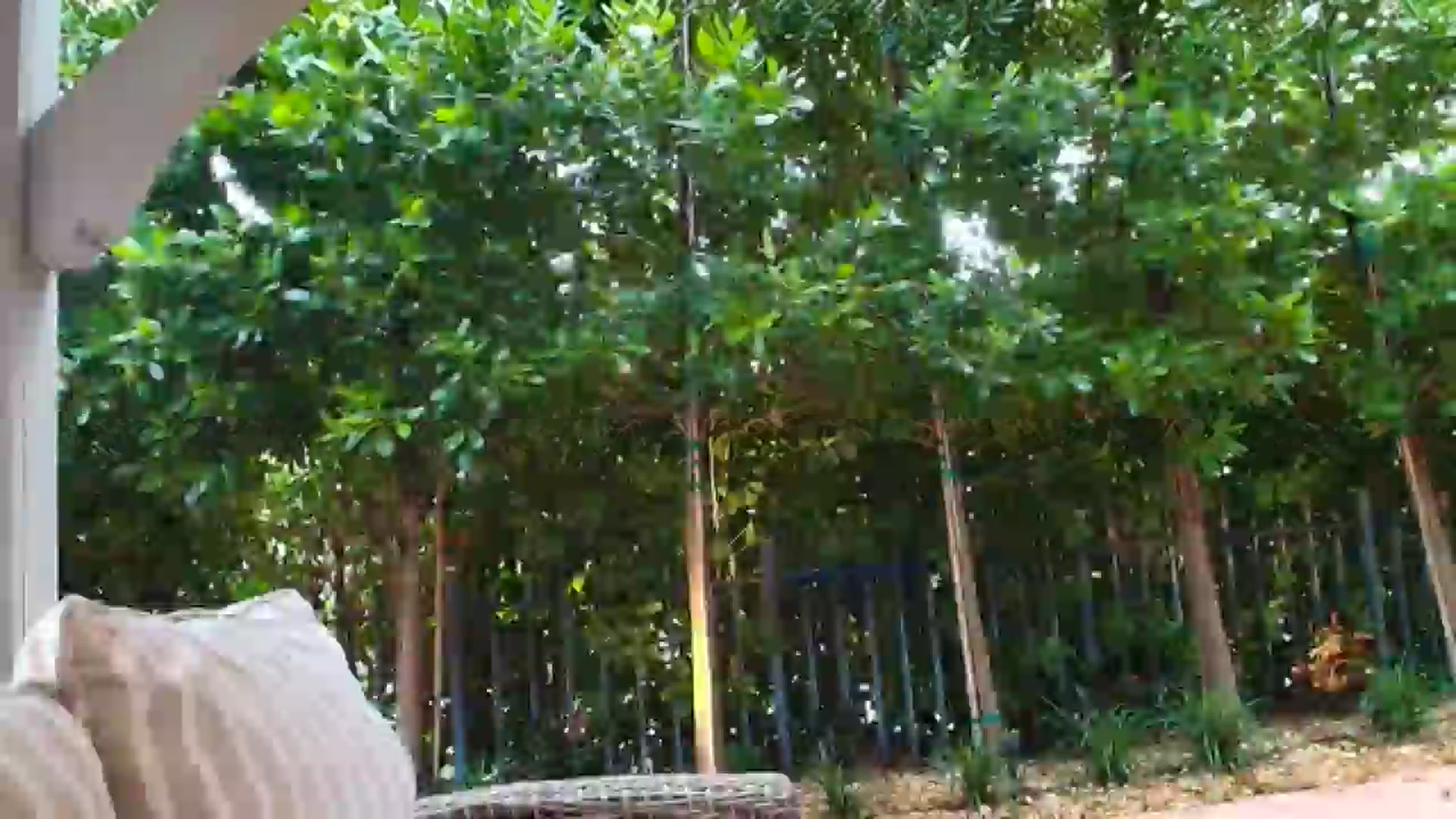 Gallery image thumbnail from MissAracely's myfreecams stream on, 09/12/2024, 22:41 image 17 of 20