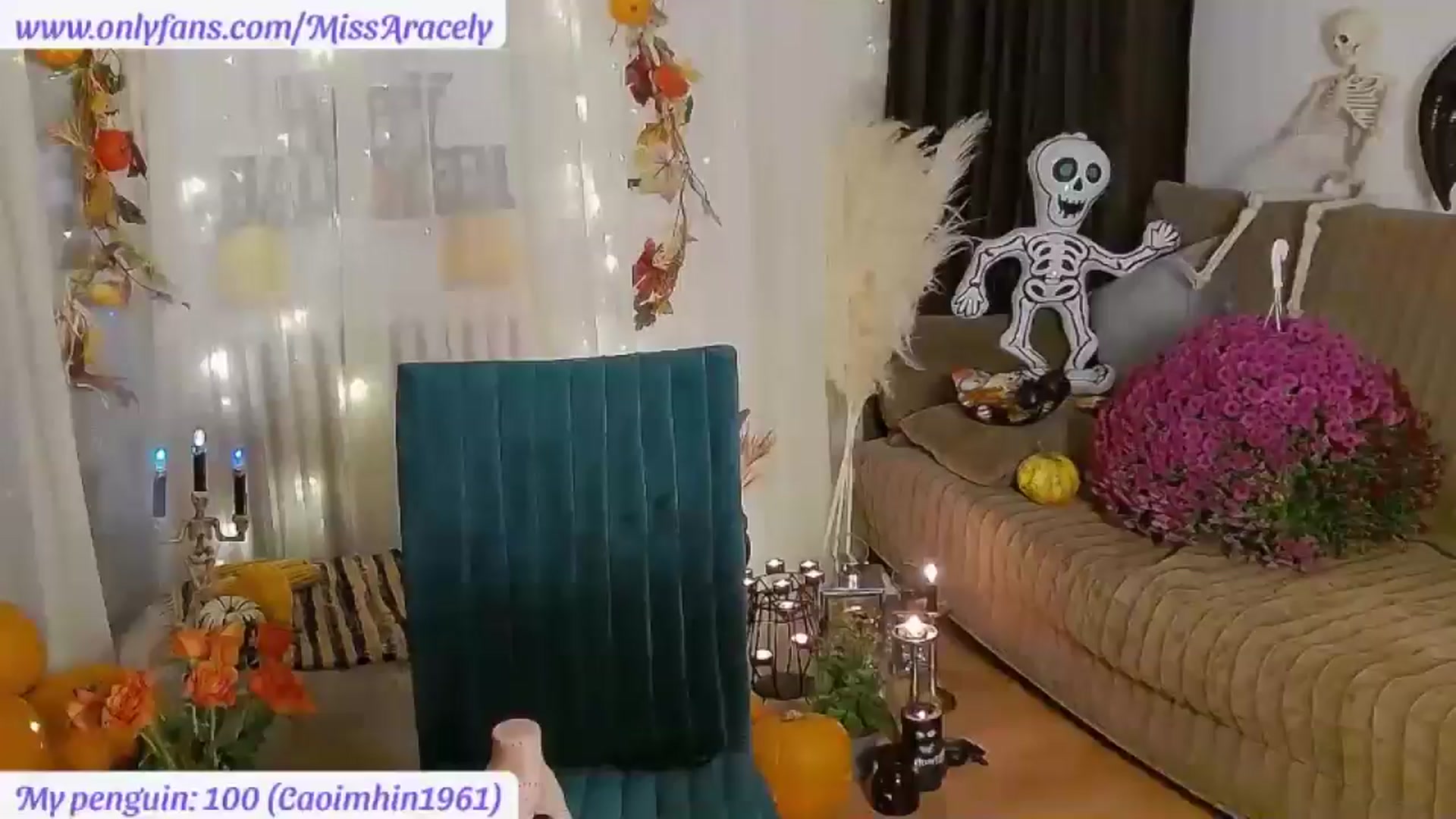 Gallery image thumbnail from MissAracely's myfreecams stream on, 11/01/2024, 01:05 image 1 of 20