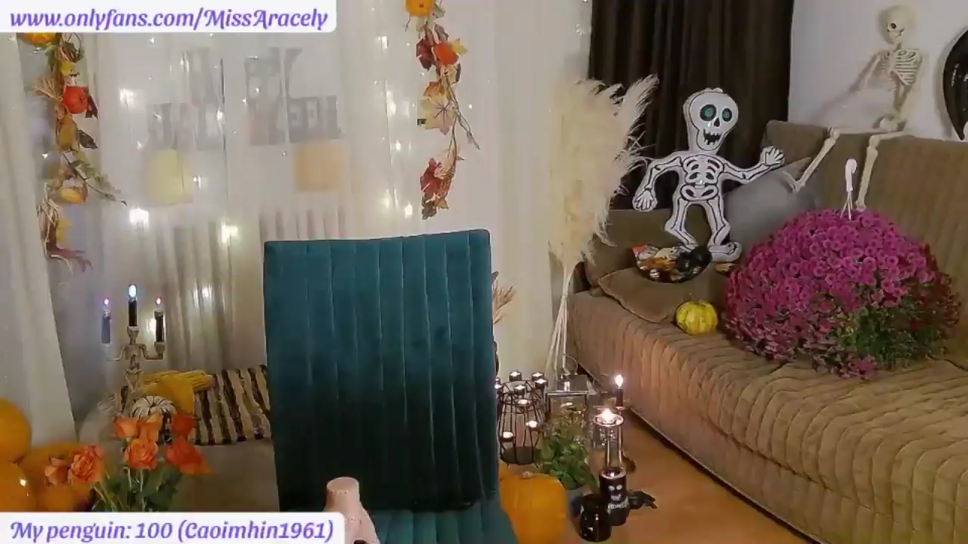 Gallery image thumbnail from MissAracely's myfreecams stream on, 11/01/2024, 01:05 image 5 of 20