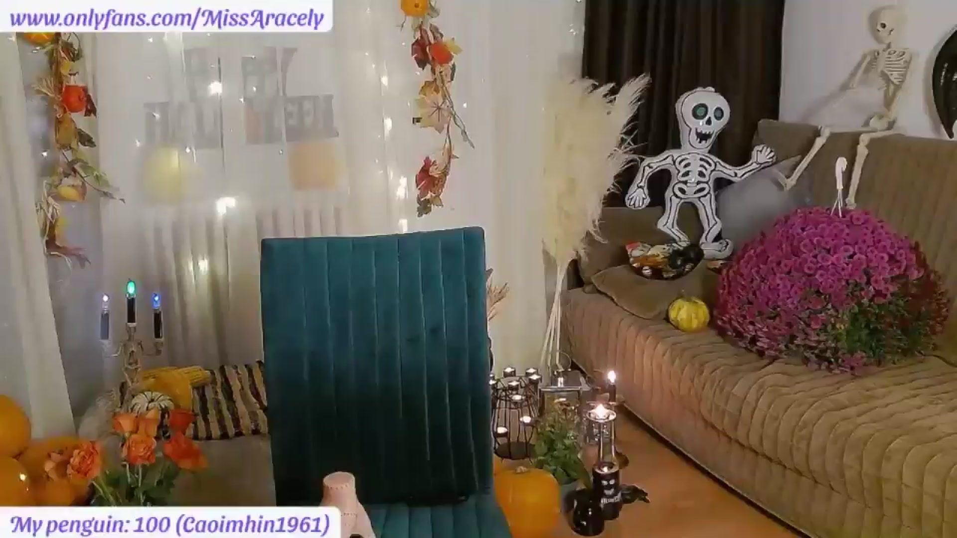 Gallery image thumbnail from MissAracely's myfreecams stream on, 11/01/2024, 01:05 image 4 of 20