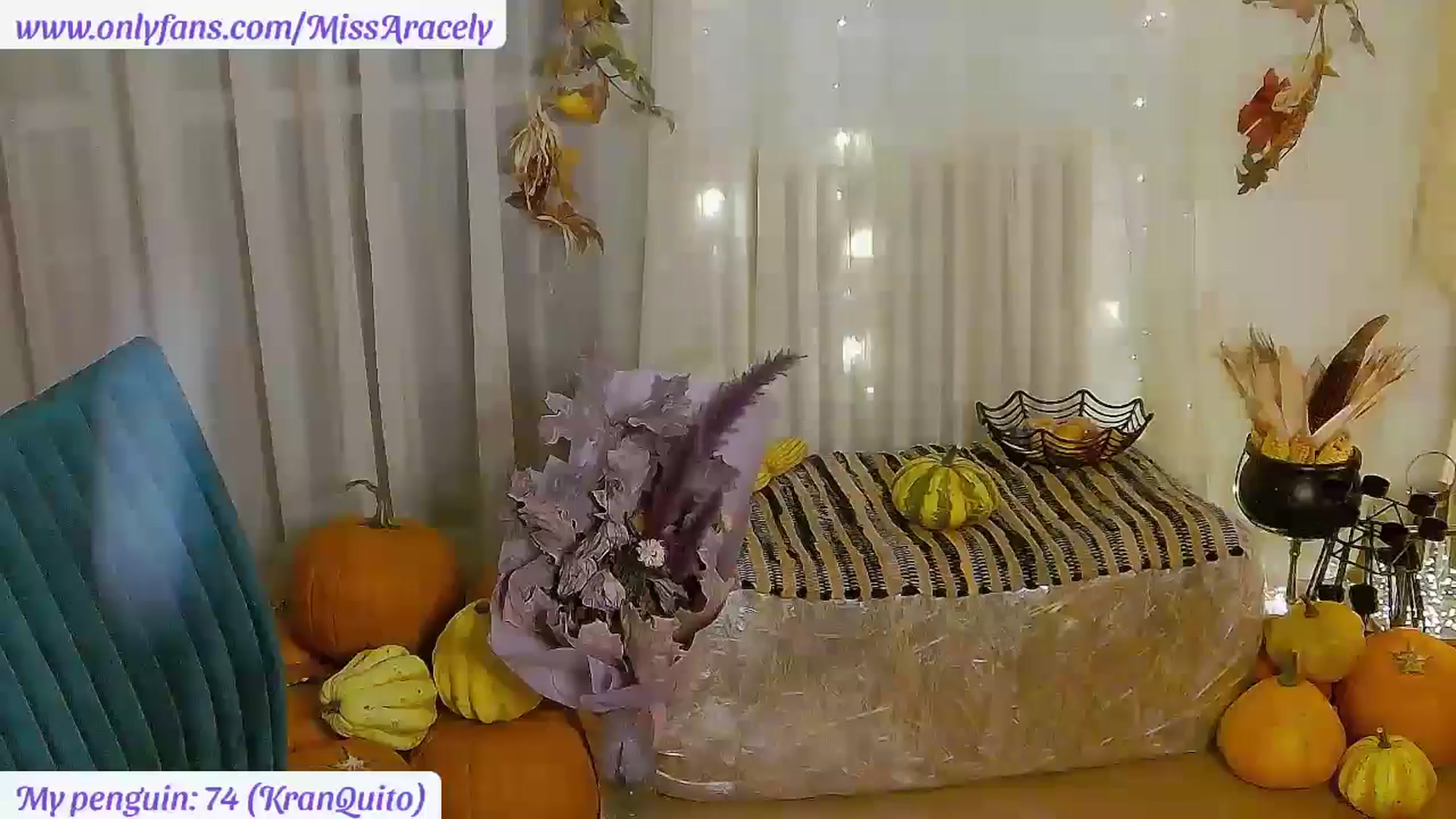 Gallery image thumbnail from MissAracely's myfreecams stream on, 11/14/2024, 23:37 image 14 of 20