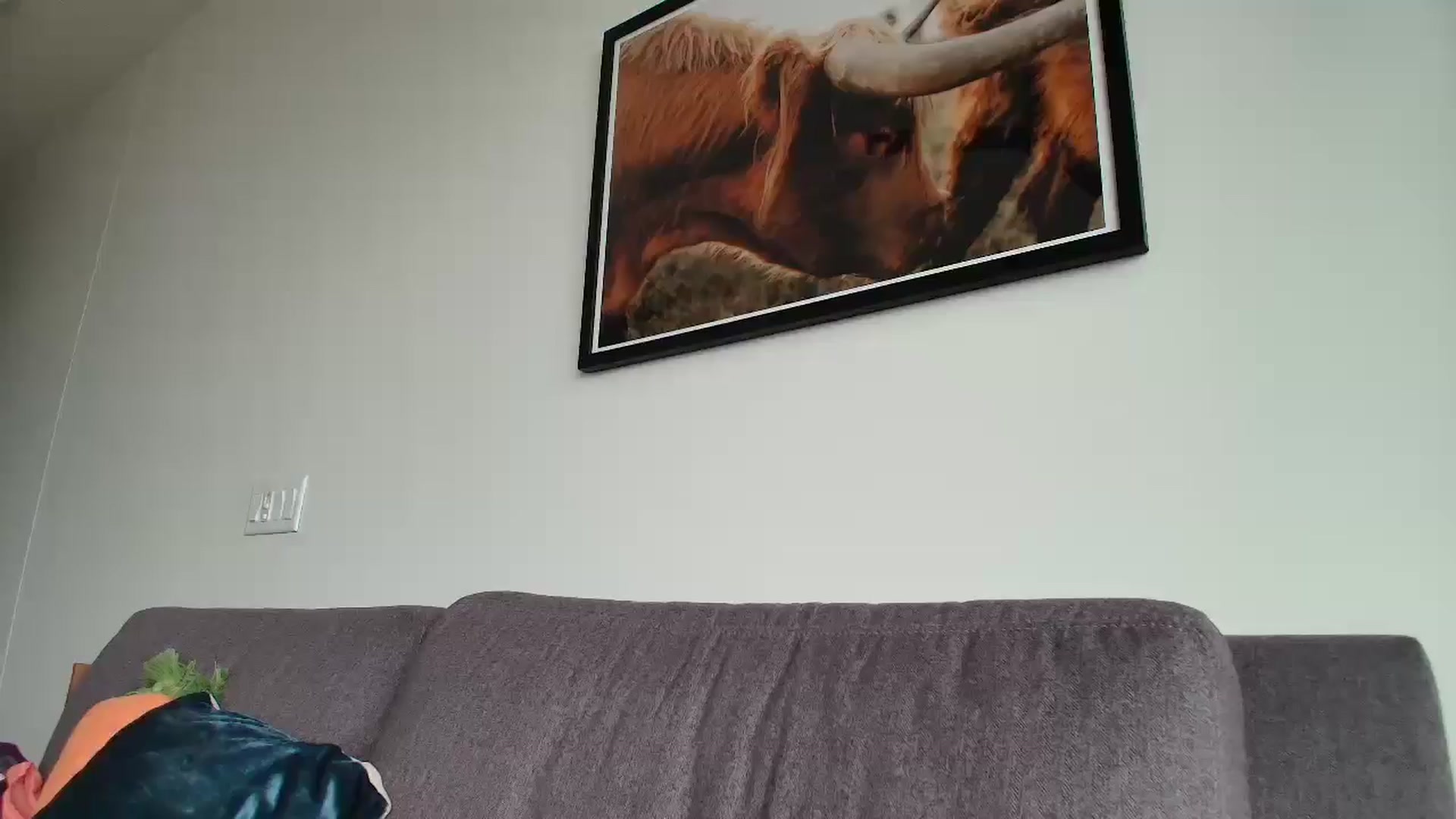 Gallery image thumbnail from MissAracely's myfreecams stream on, 04/24/2026, 02:04 image 2 of 20
