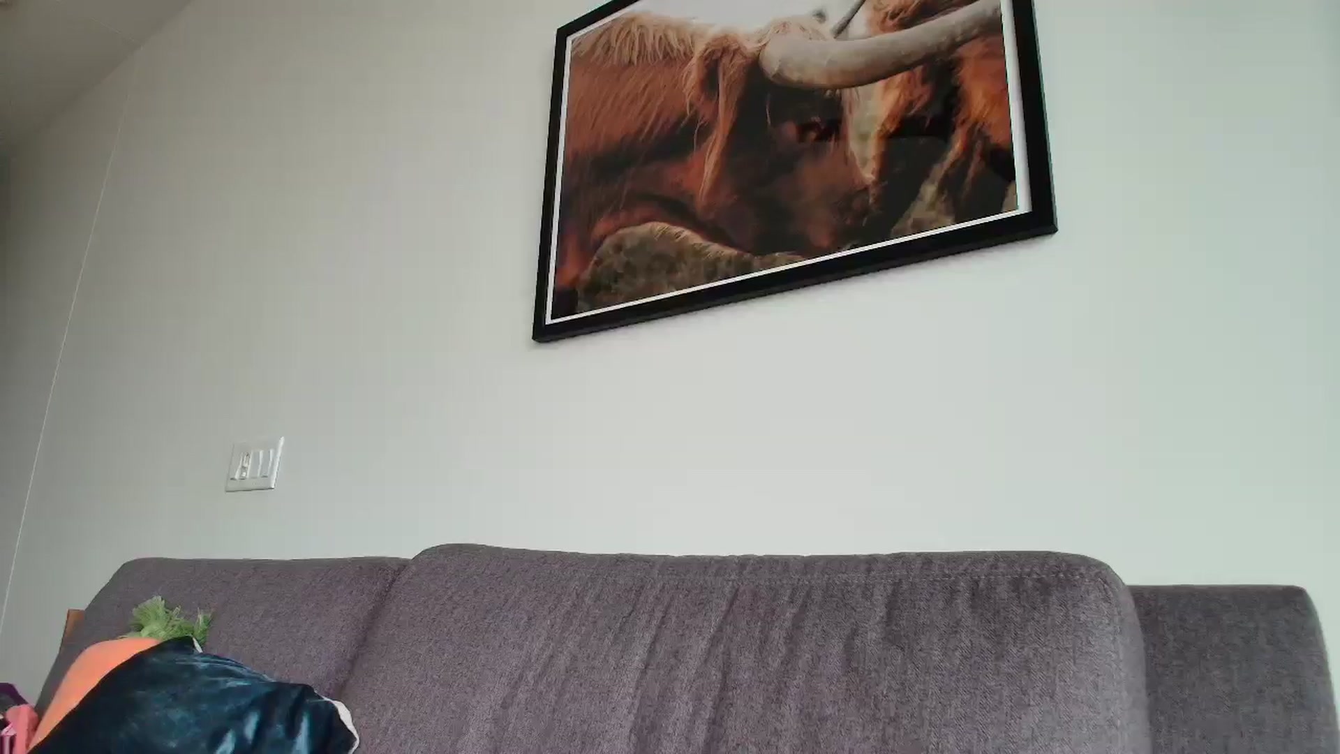 Gallery image thumbnail from MissAracely's myfreecams stream on, 04/24/2026, 02:04 image 4 of 20