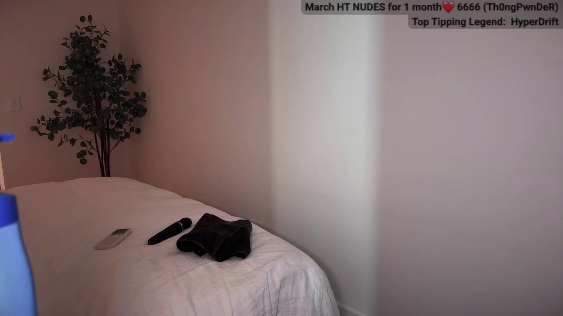 Gallery image thumbnail from MissAustralia's myfreecams stream on, 03/26/2025, 08:41 image 12 of 20