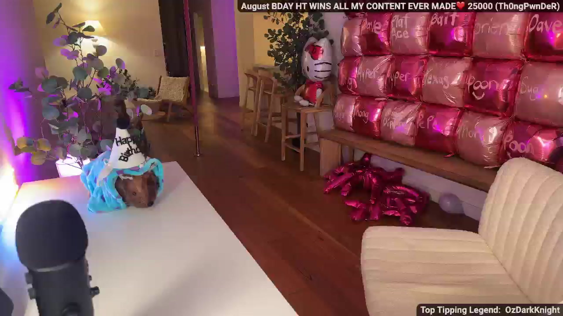 Gallery image thumbnail from MissAustralia's myfreecams stream on, 08/26/2025, 07:01 image 12 of 20
