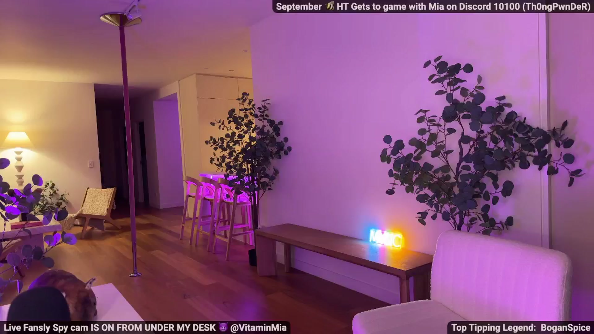 Gallery image thumbnail from MissAustralia's myfreecams stream on, 09/25/2025, 08:44 image 19 of 20