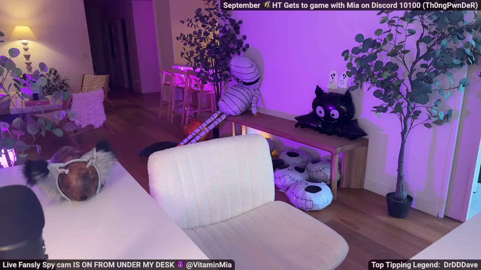 Gallery image thumbnail from MissAustralia's myfreecams stream on, 10/01/2025, 10:42 image 3 of 20